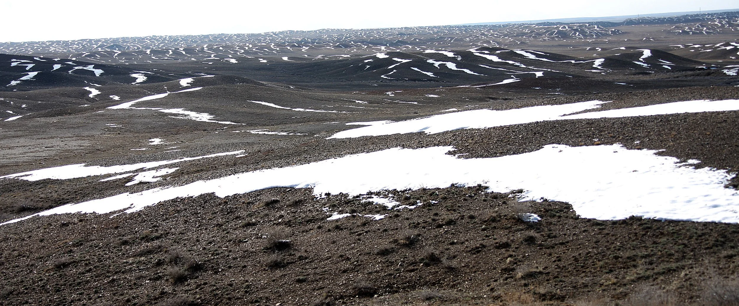 KARAMORI NATIONAL NATURE RESERVE - XINJIANG CHINA (28).JPG