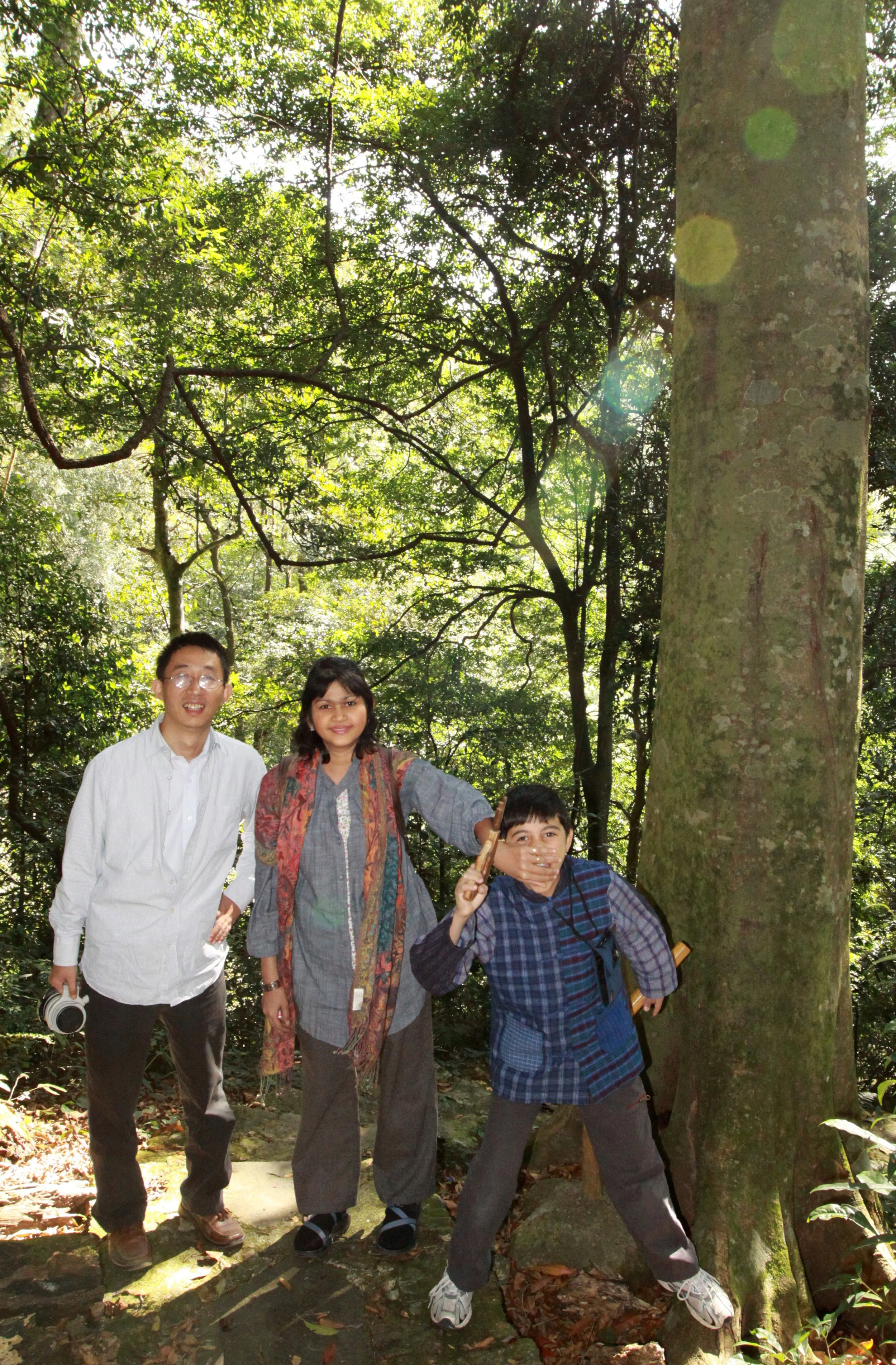 CHINESE YEW RESERVE - FUJIAN CHINA (5).JPG