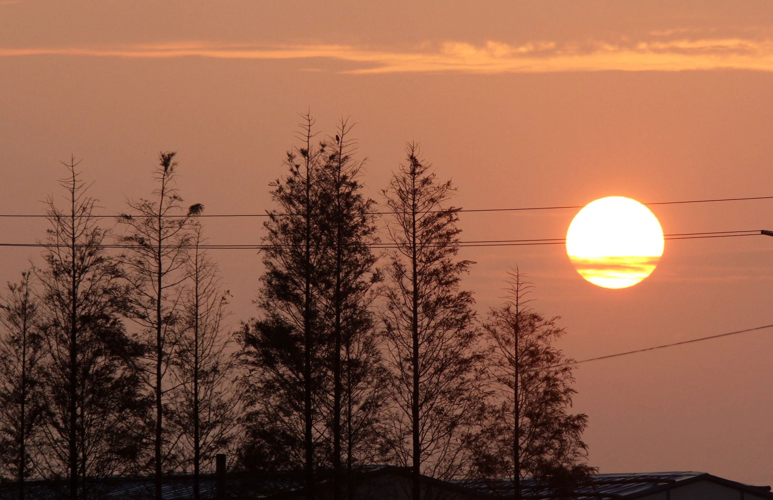 BUS RIDE TO SAS - DECEMBER 2012 (16).JPG