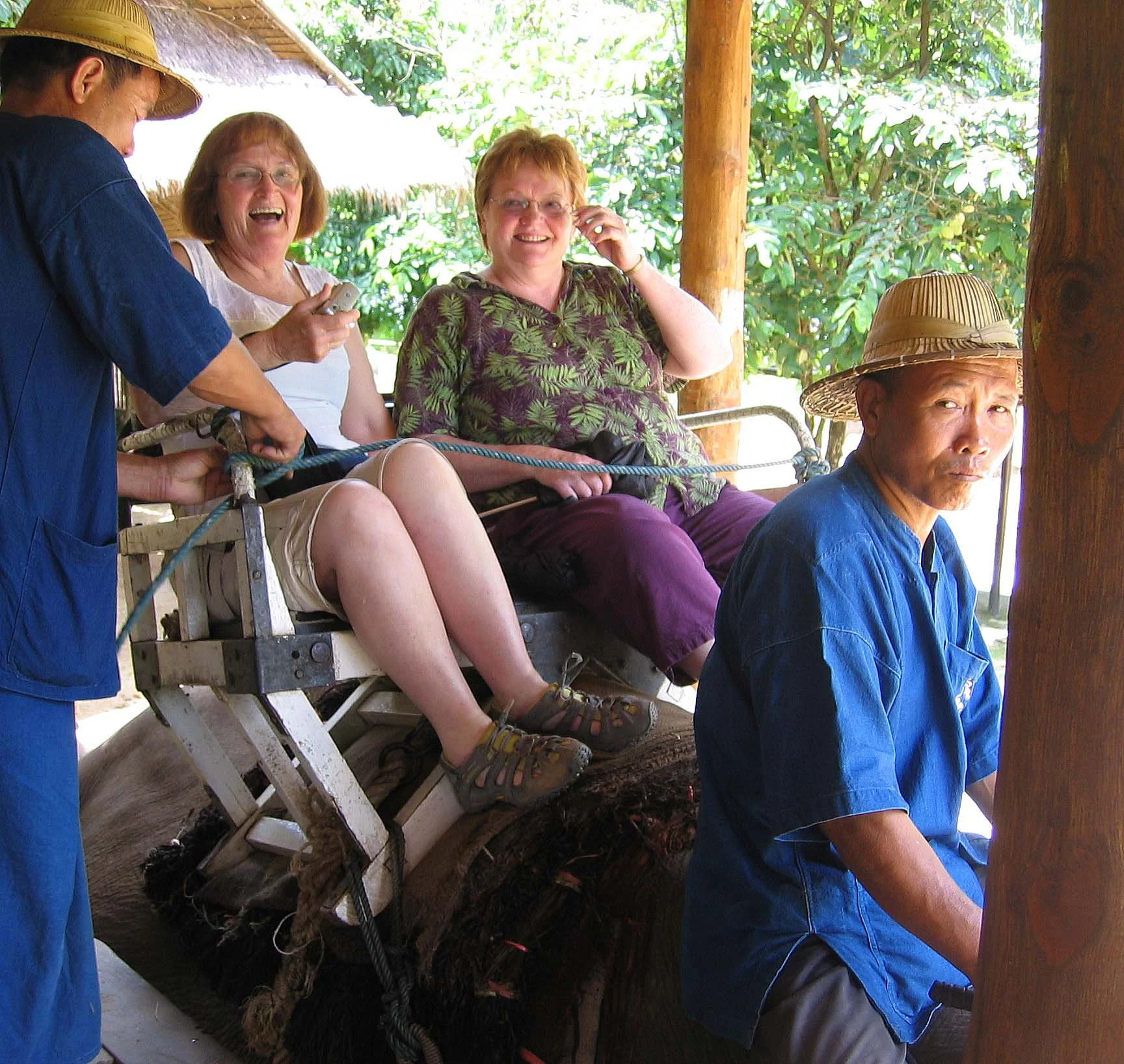 2008 Lampang City & Elephant Center (154).jpg