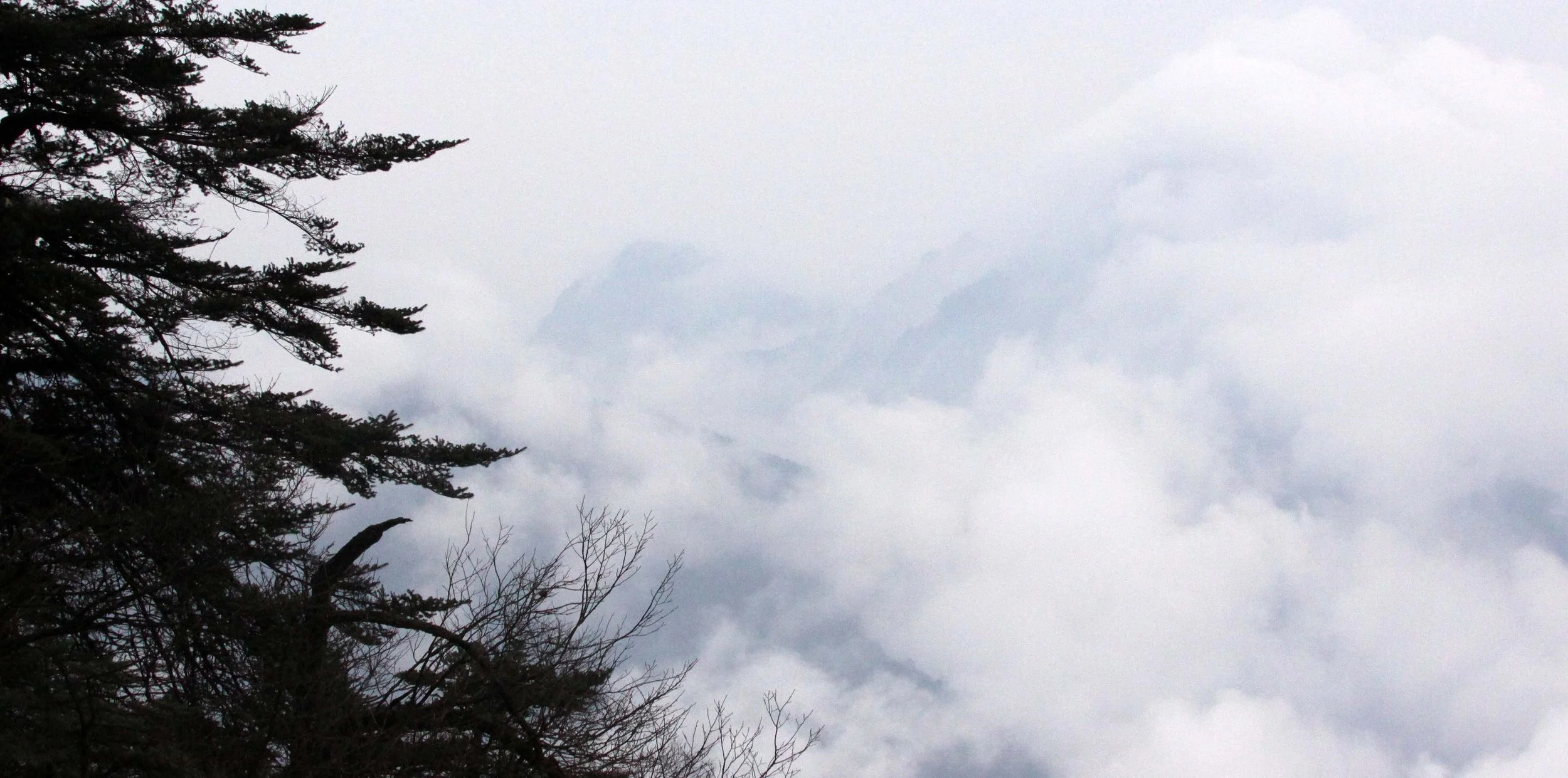 WAWU SHAN GEOPARK - SICHUAN CHINA (35).JPG