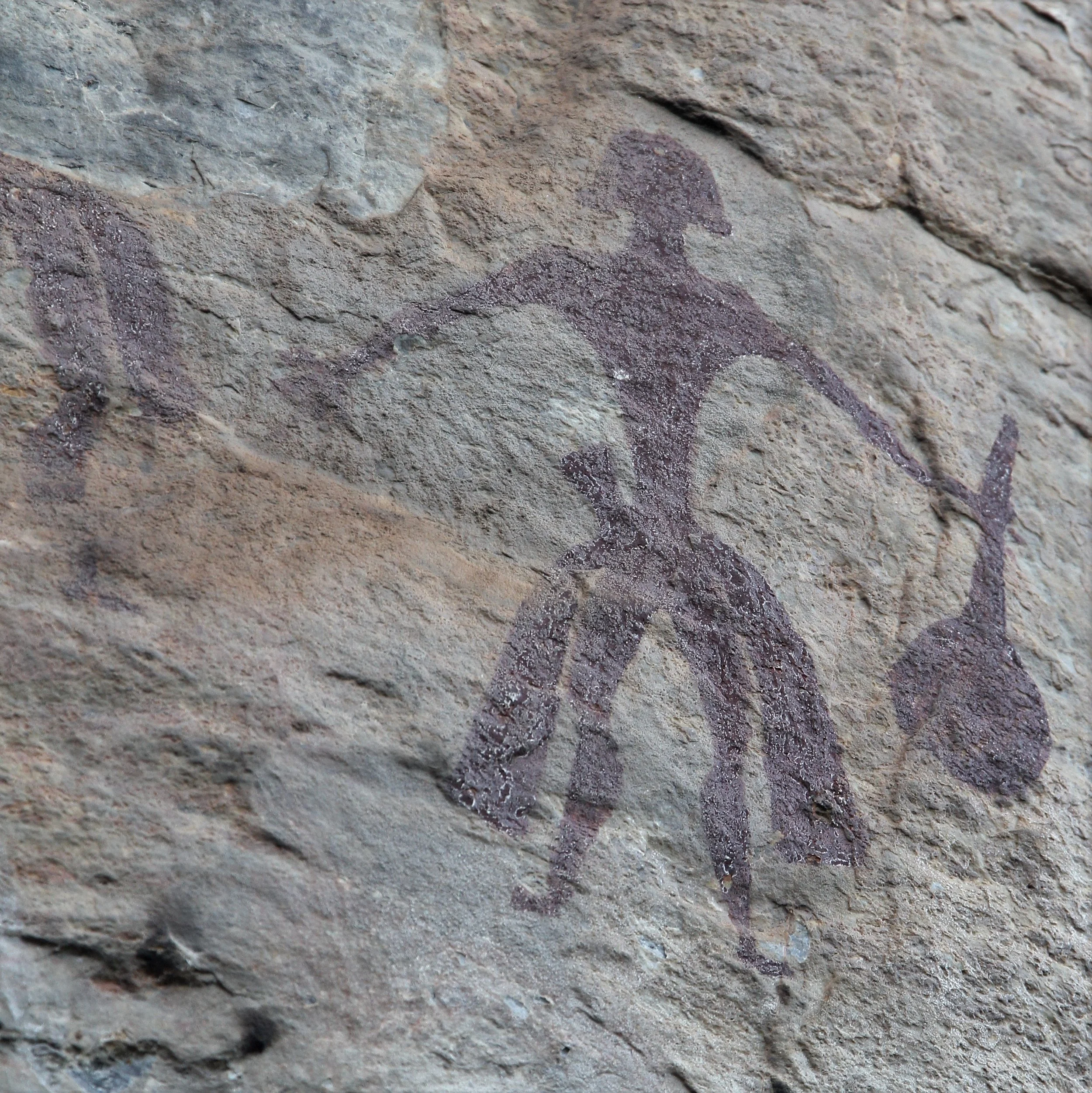 This rock appears to be limestone, known for its textured and sometimes fossiliferous surface. 