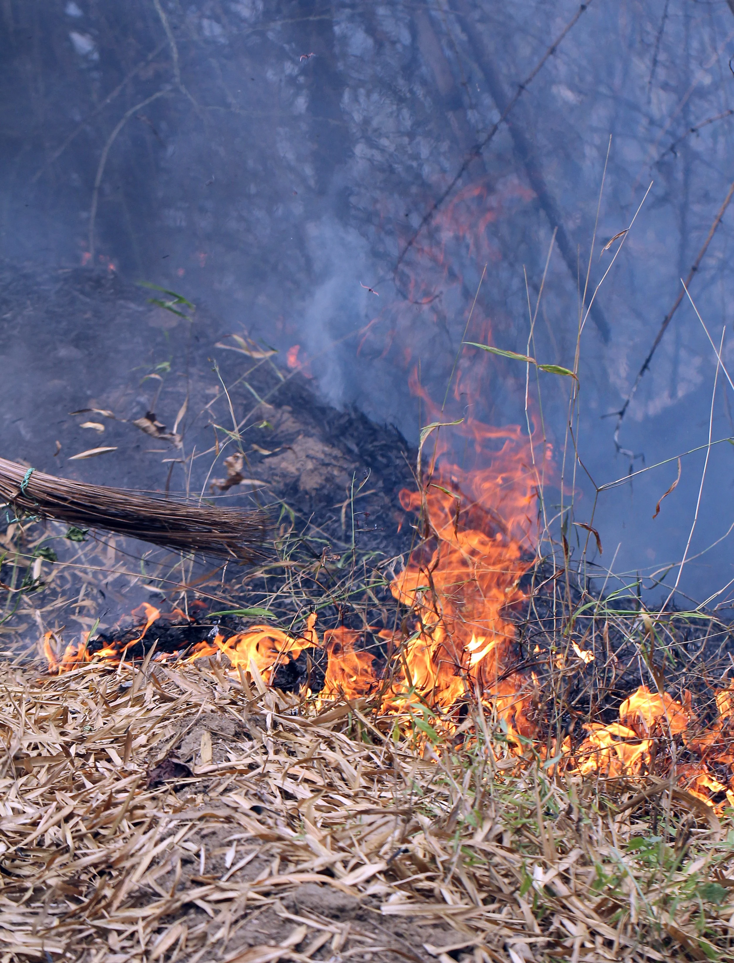 HUAI MAI DEE - HUAI KHA KHAENG - THAILAND (31).JPG