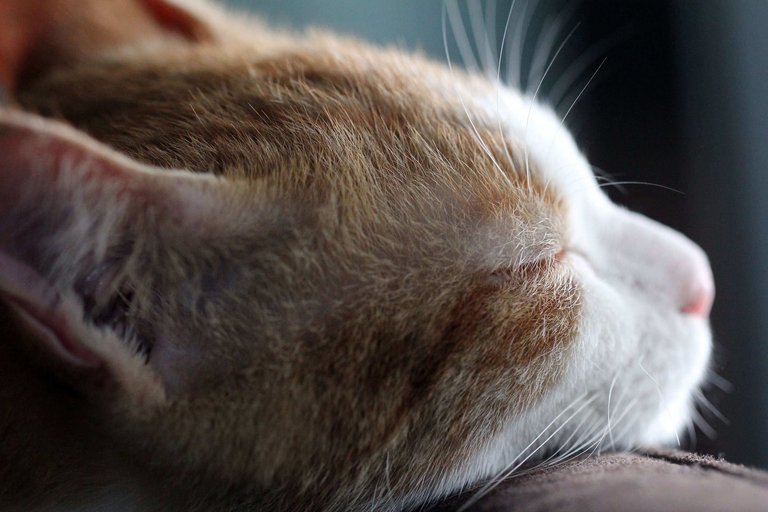 2015 Koh Lanta October Break Trip  (354).JPG