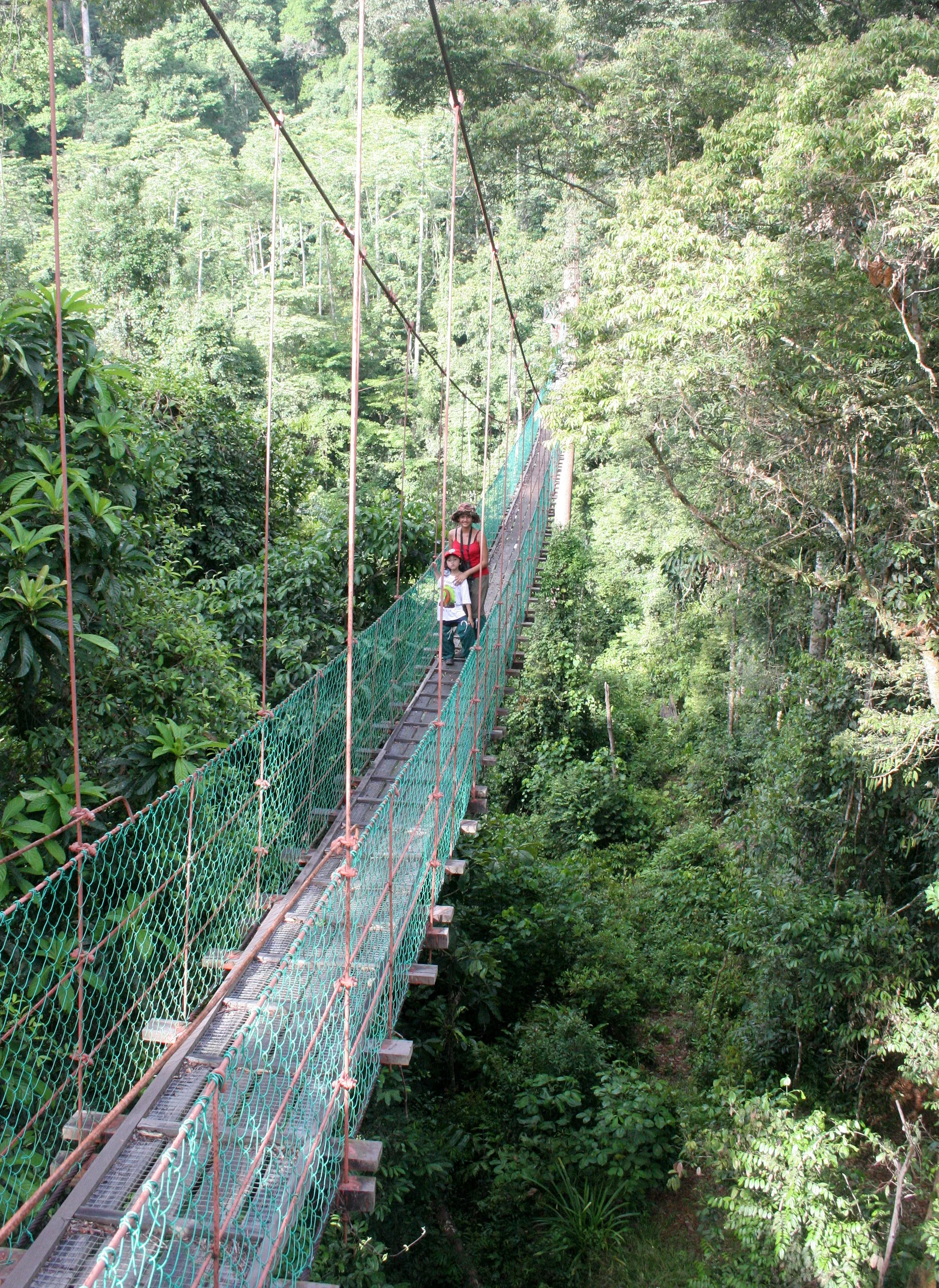 DANUM VALLEY BORNEO - CANOPY WALKWAY -  BRL (5).JPG