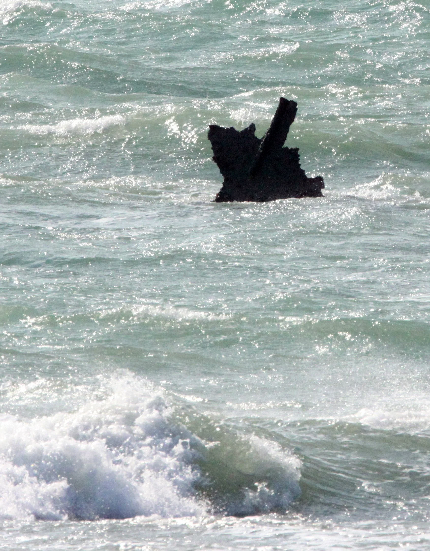 SHIZUOKA COASTLINE JAPAN (10).JPG