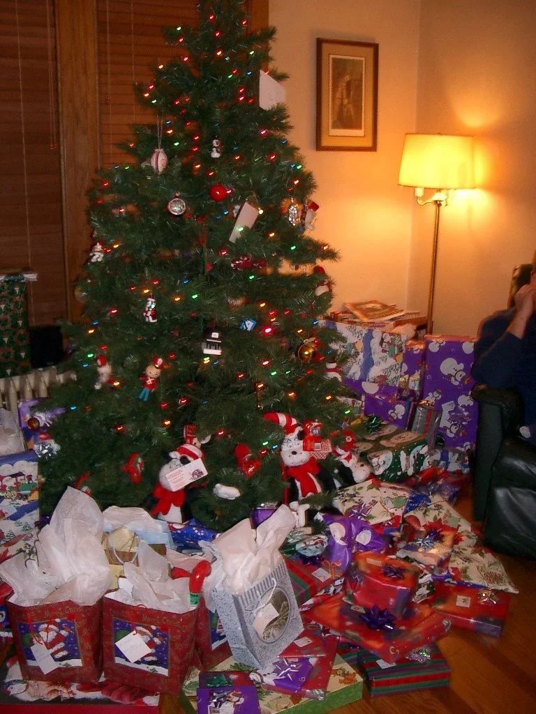 2003-12-25 CHRISTMAS IN CHICAGO (88).JPG