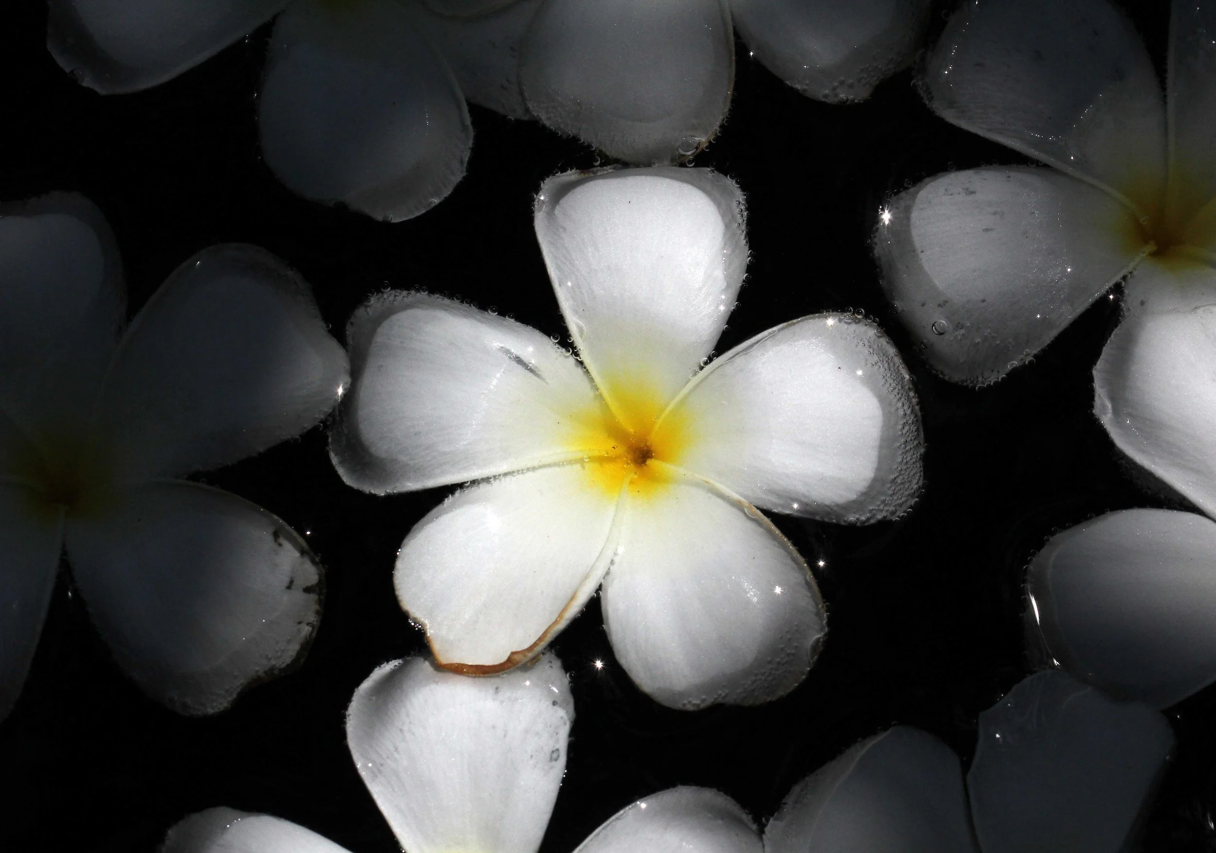 2015 Koh Lanta Songkran with friends from ISB (542).JPG