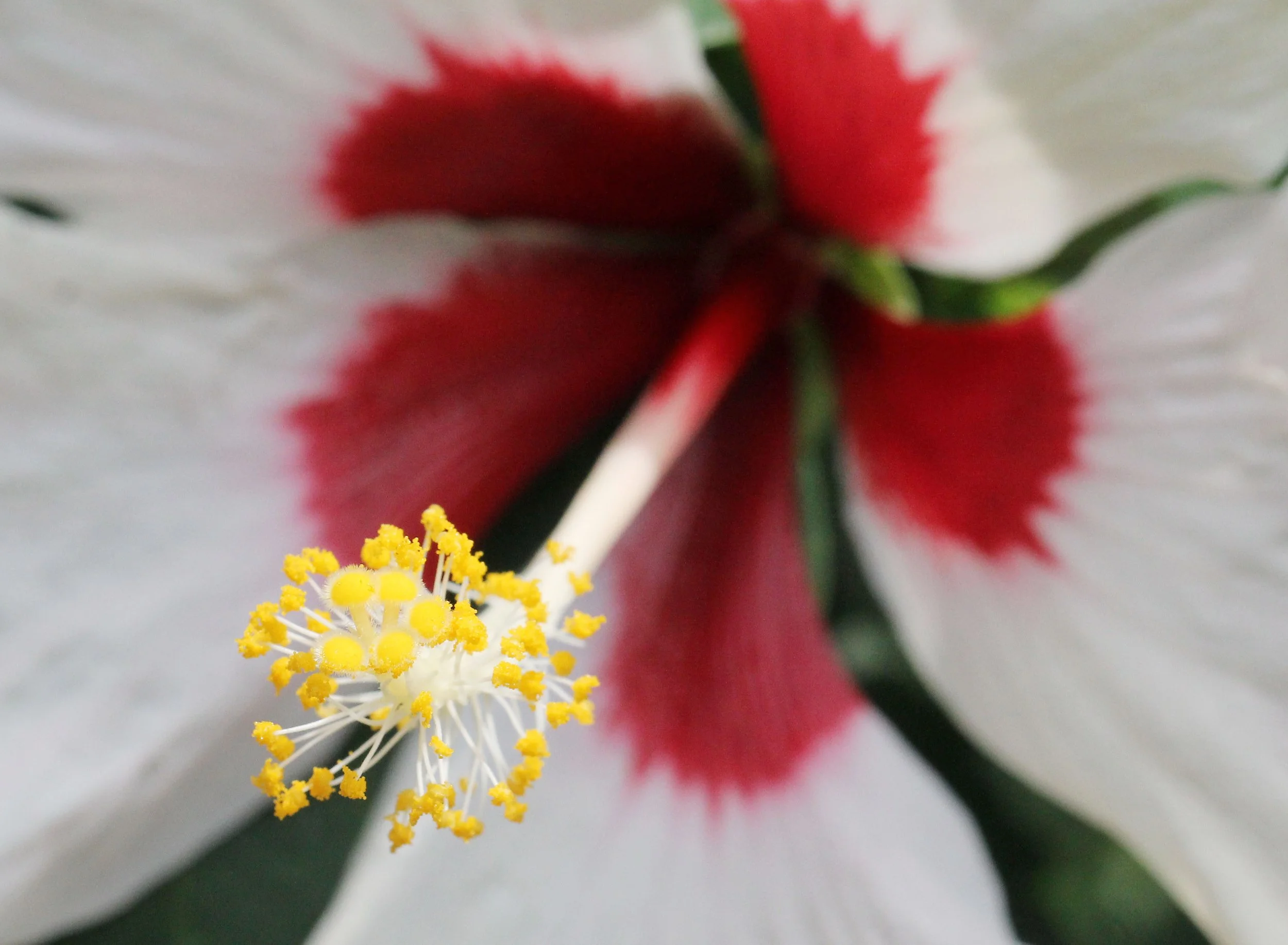 2015 Koh Lanta October Break Trip  (98).JPG