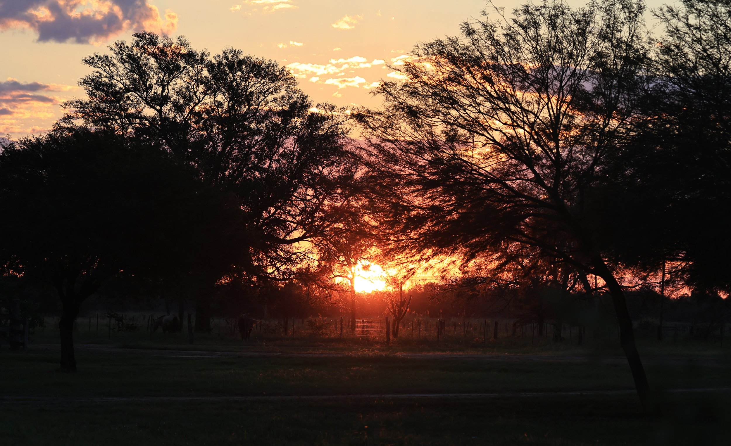 Hotel Campestre Iparoma Paraguay (213).jpg