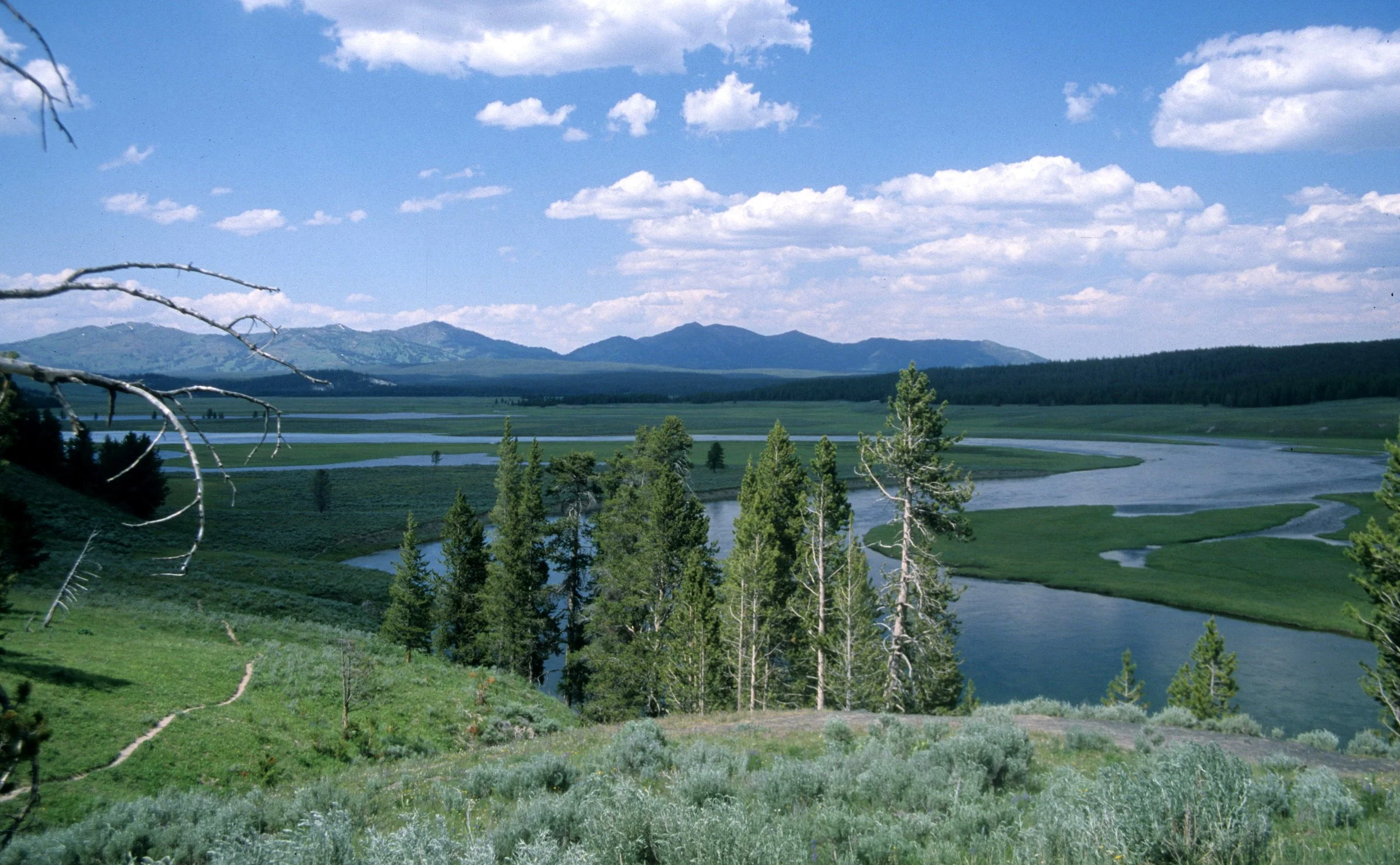 YELLOWSTONE - YELLOWSTONE RIVER D.jpg