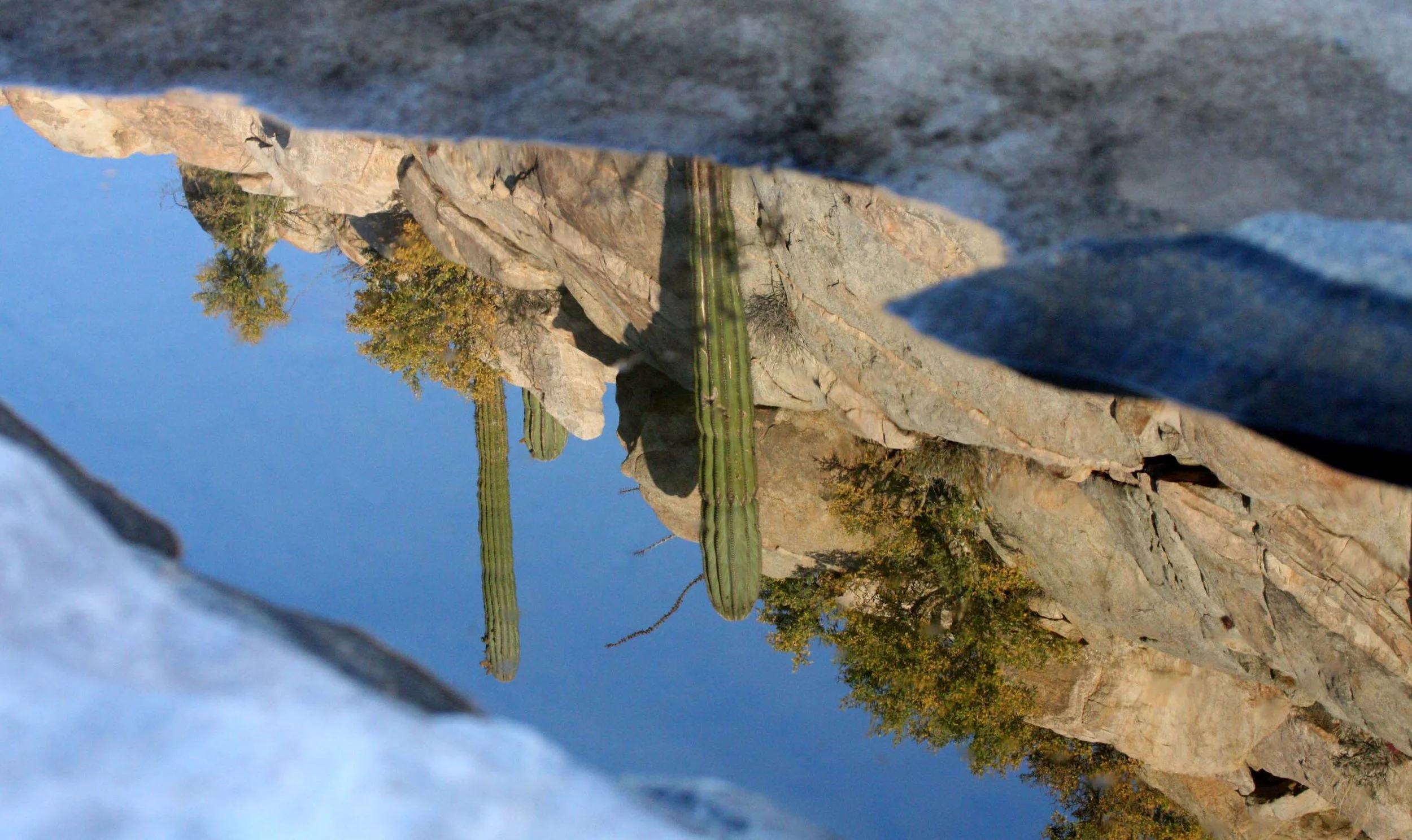 CATAVINA DESERT BAJA MEXICO - REFLECTIONS IN AN EPHEMERAL POND (5).JPG