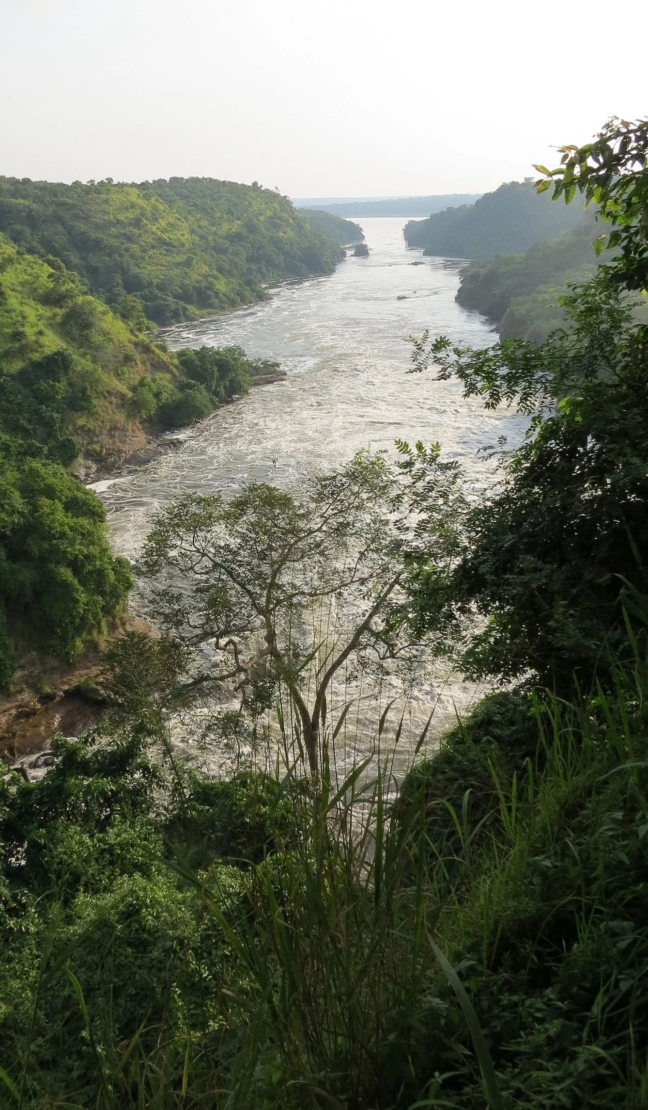 MURCHISON FALLS UGANDA (48).JPG