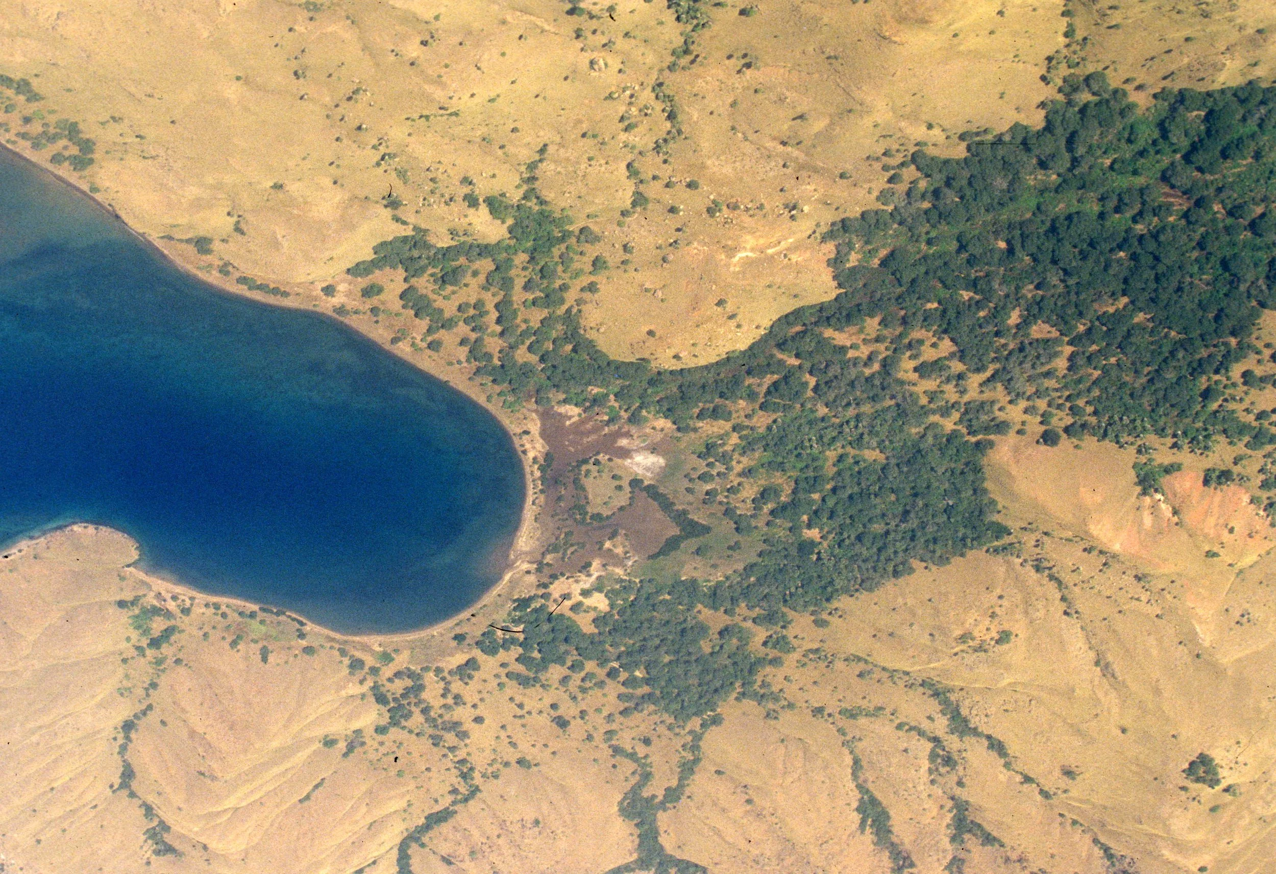 KOMODO - AERIAL VIEW OF ISLAND.jpg