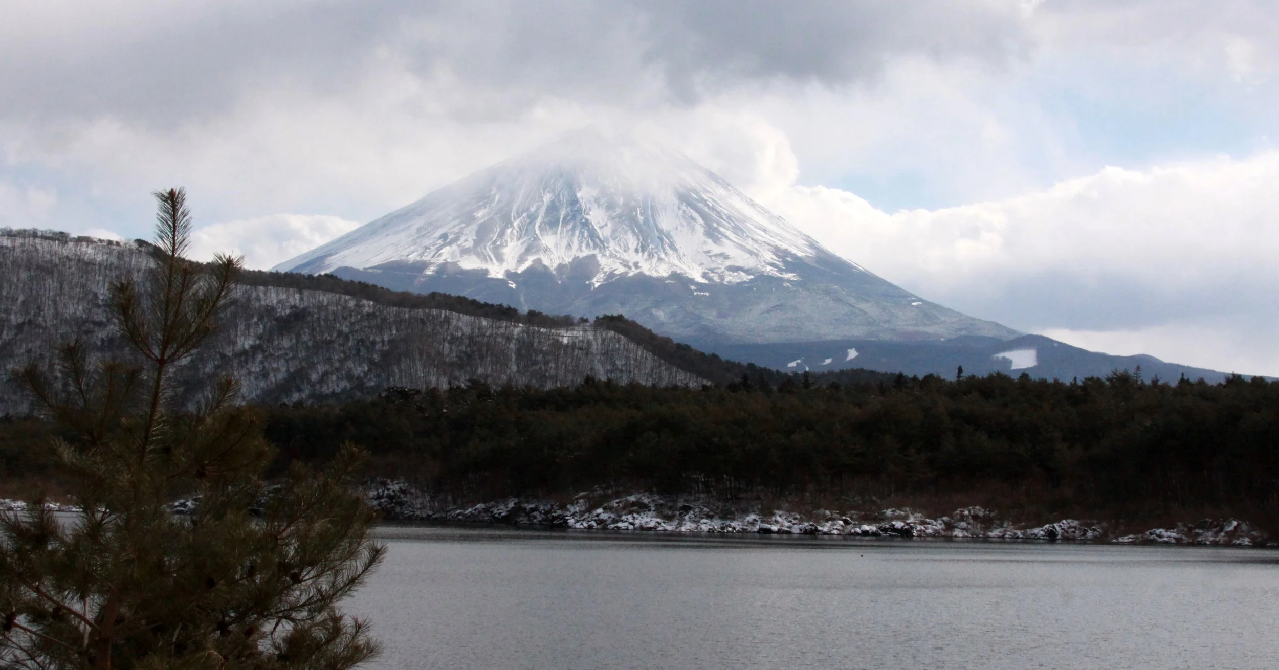 MOUNT FUJI - AS SEEN FROM SAIKOYACHONOMORI PARK JAPAN (7).JPG