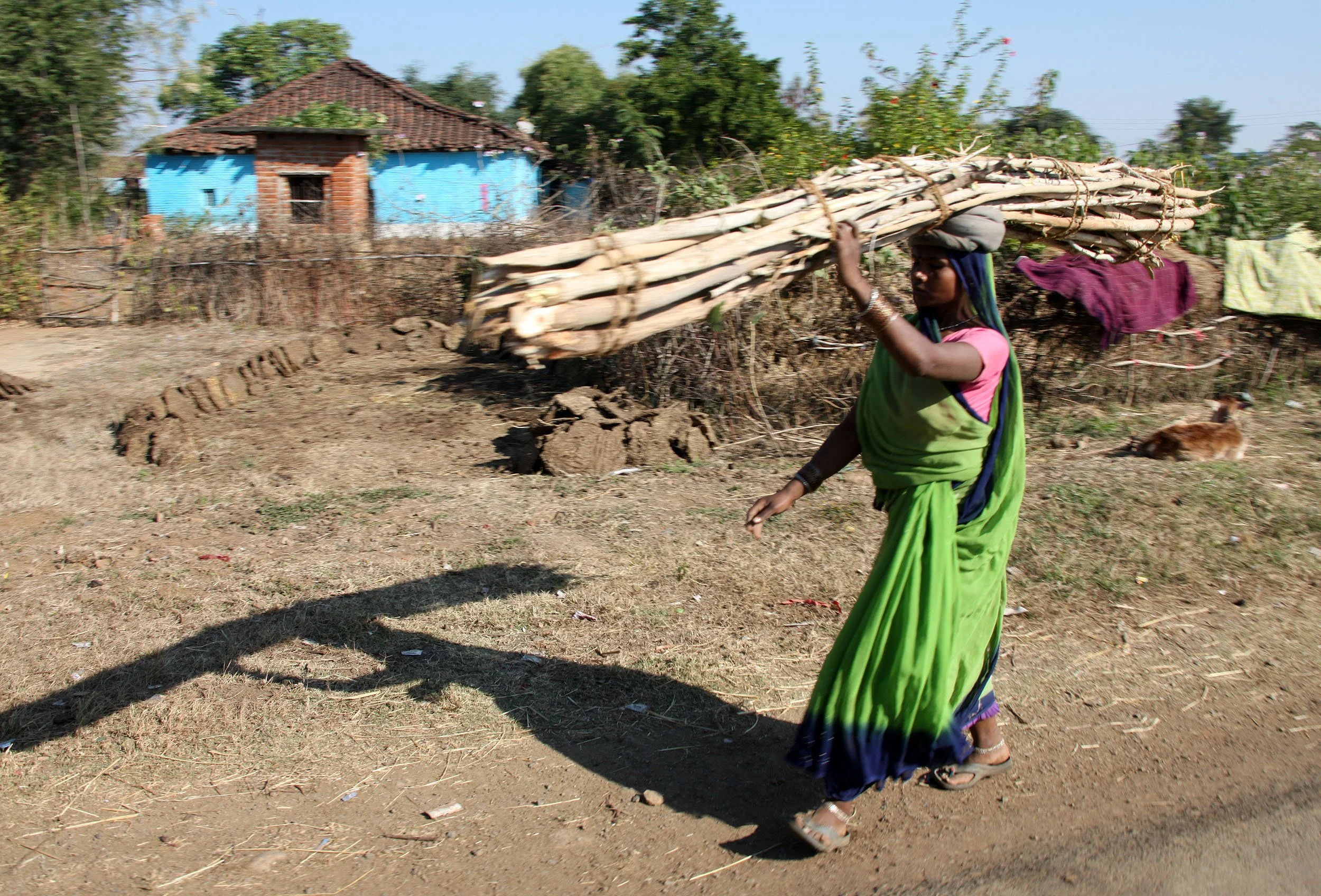 MADHYA PRADESH - DRIVE TO BANDHAVGAR (4).JPG