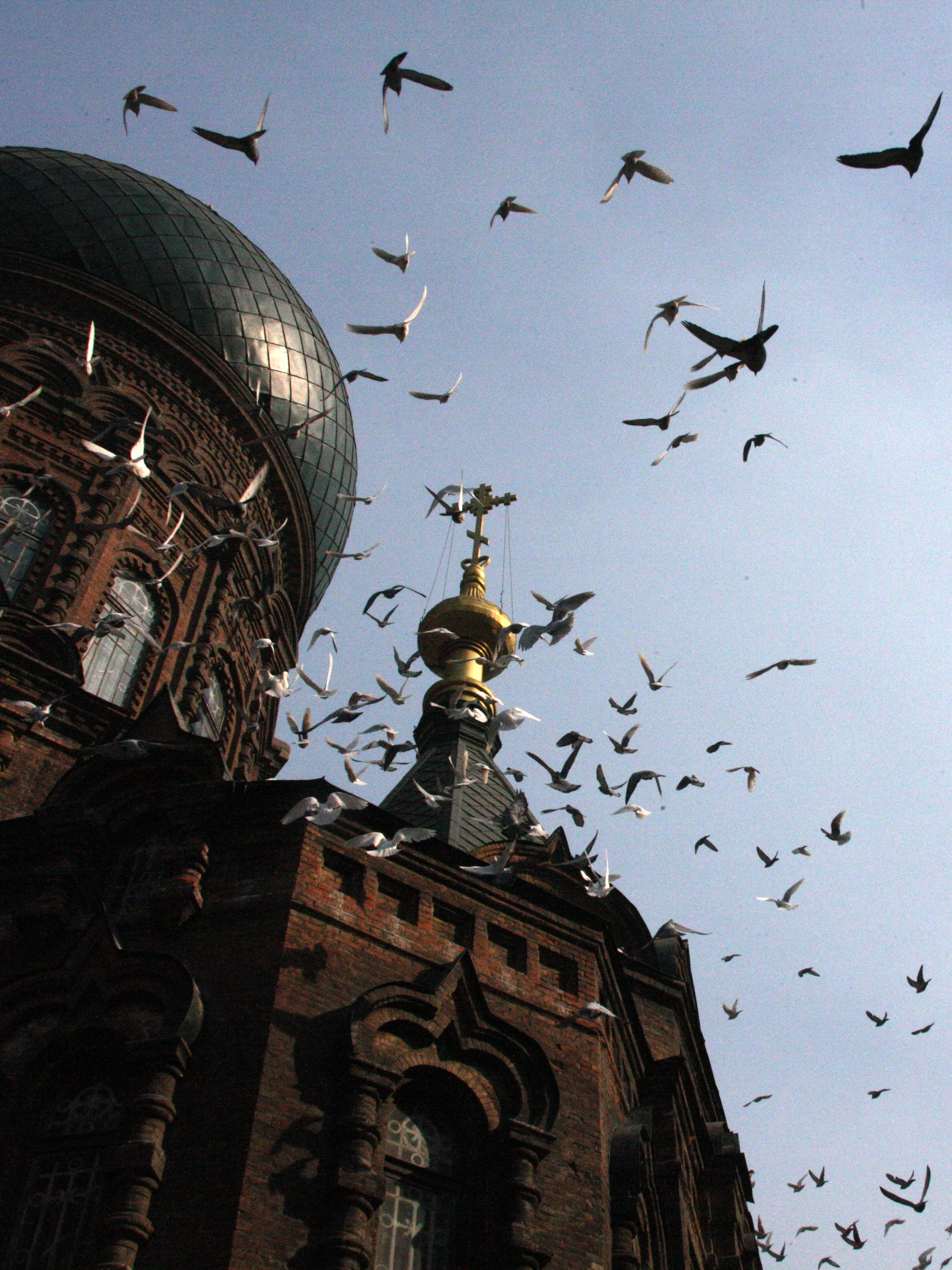SAINT SOPHIA'S CATHEDRAL HARBIN CHINA (61).JPG