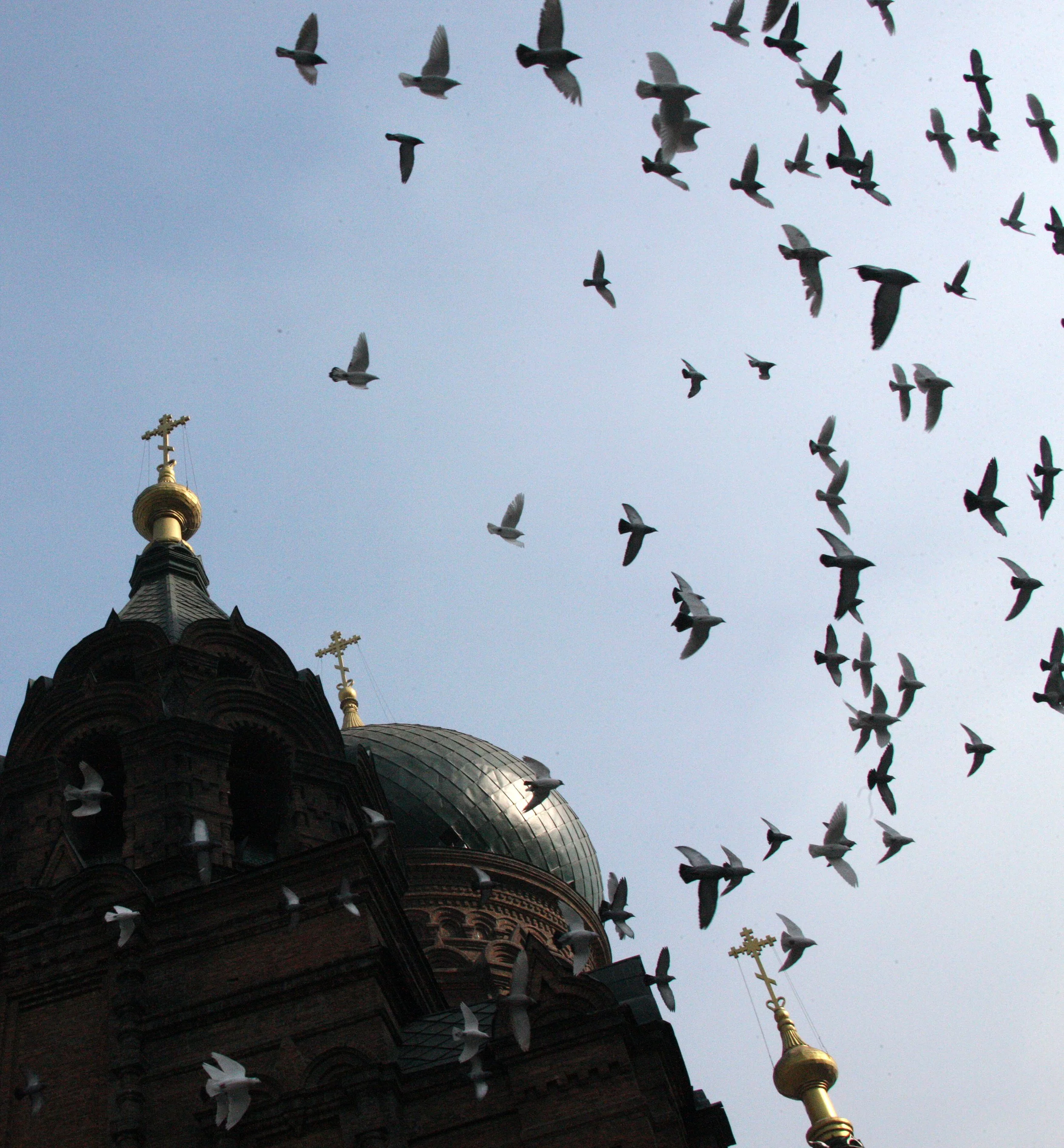 SAINT SOPHIA'S CATHEDRAL HARBIN CHINA (88).JPG