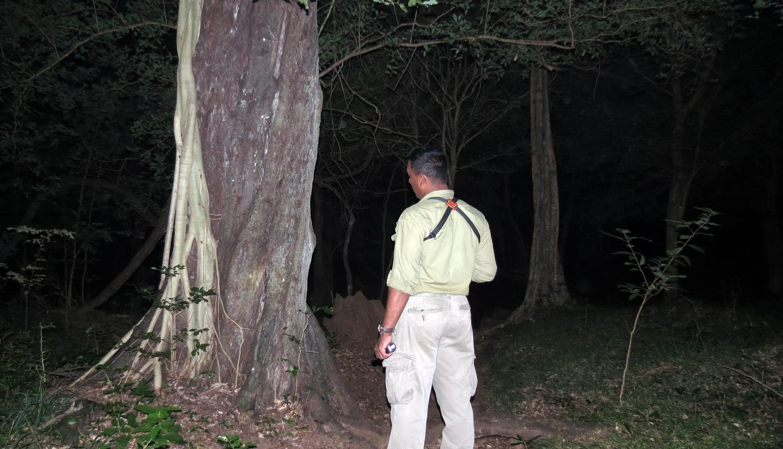 SIRIGIYA FORTRESS AND FOREST SRI LANKA (19).JPG