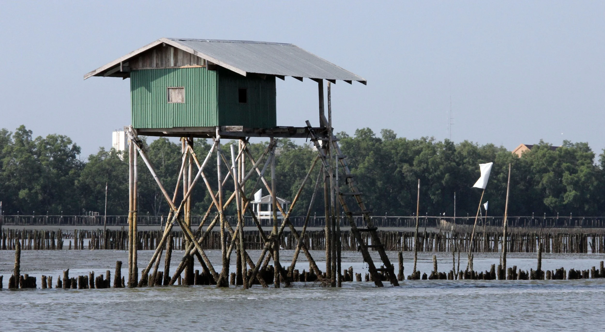 2014 Amphawa Trip to See Whales from Baan Taboon (125).JPG