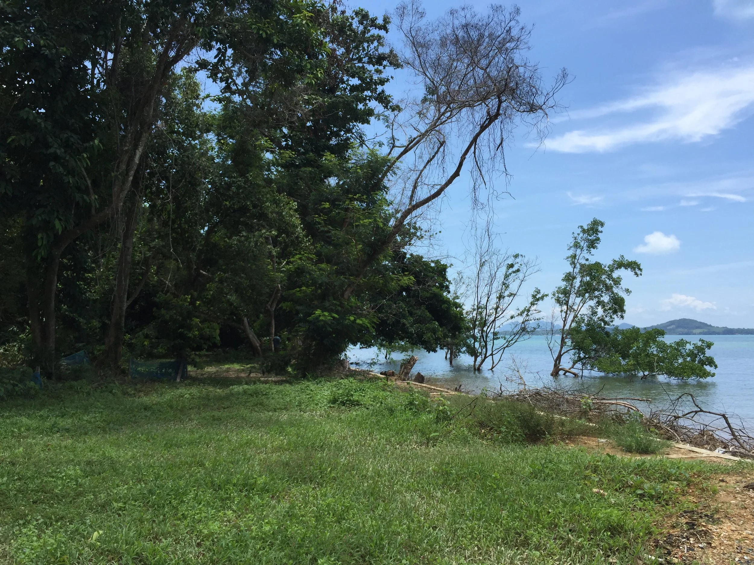 2015 Koh Lanta Garden & Nature (312).JPG