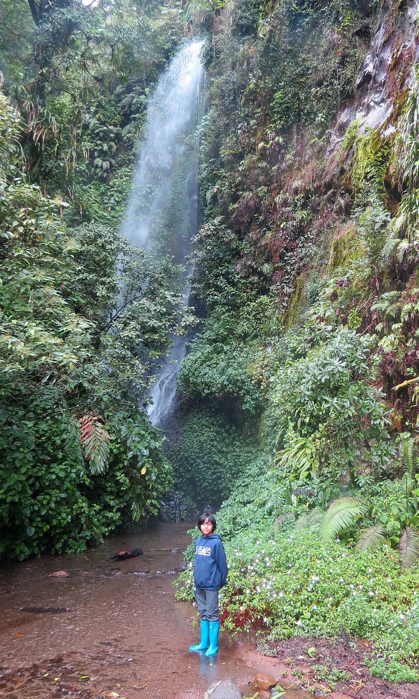 GEDE NATIONAL PARK - JAVA BARAT INDONESIA (15).JPG