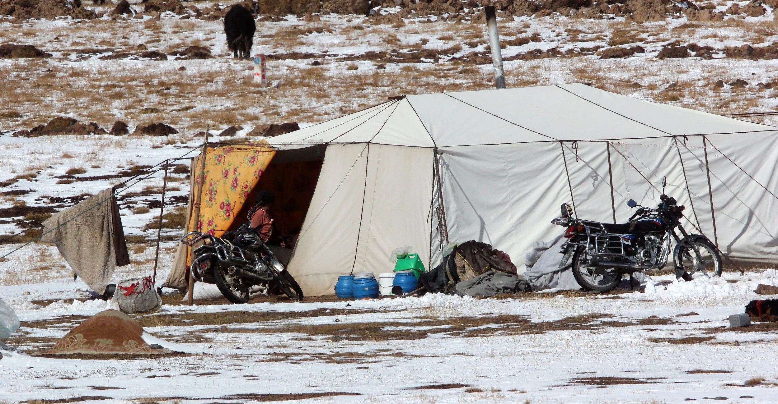 BAYANKALA PASS QINGHAI CHINA (2).JPG