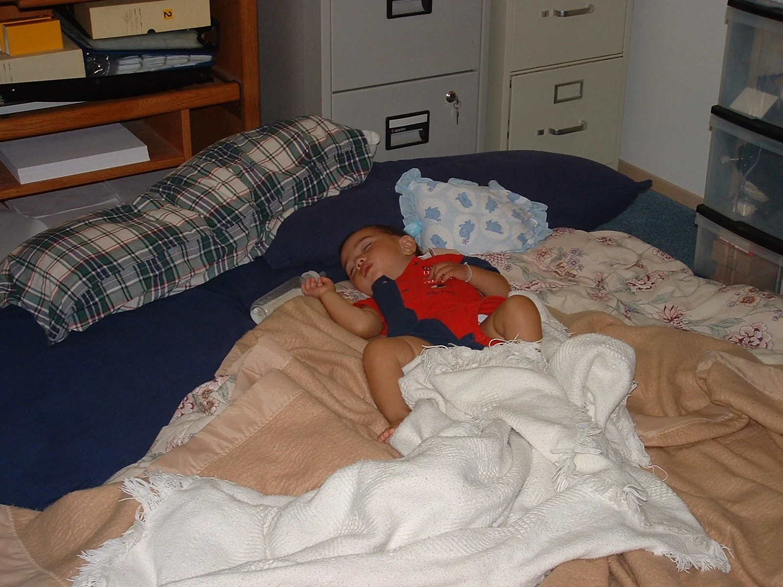 2003-8-1 WASHINGTON VISIT FROM ROBINSONS ET AL (116).JPG