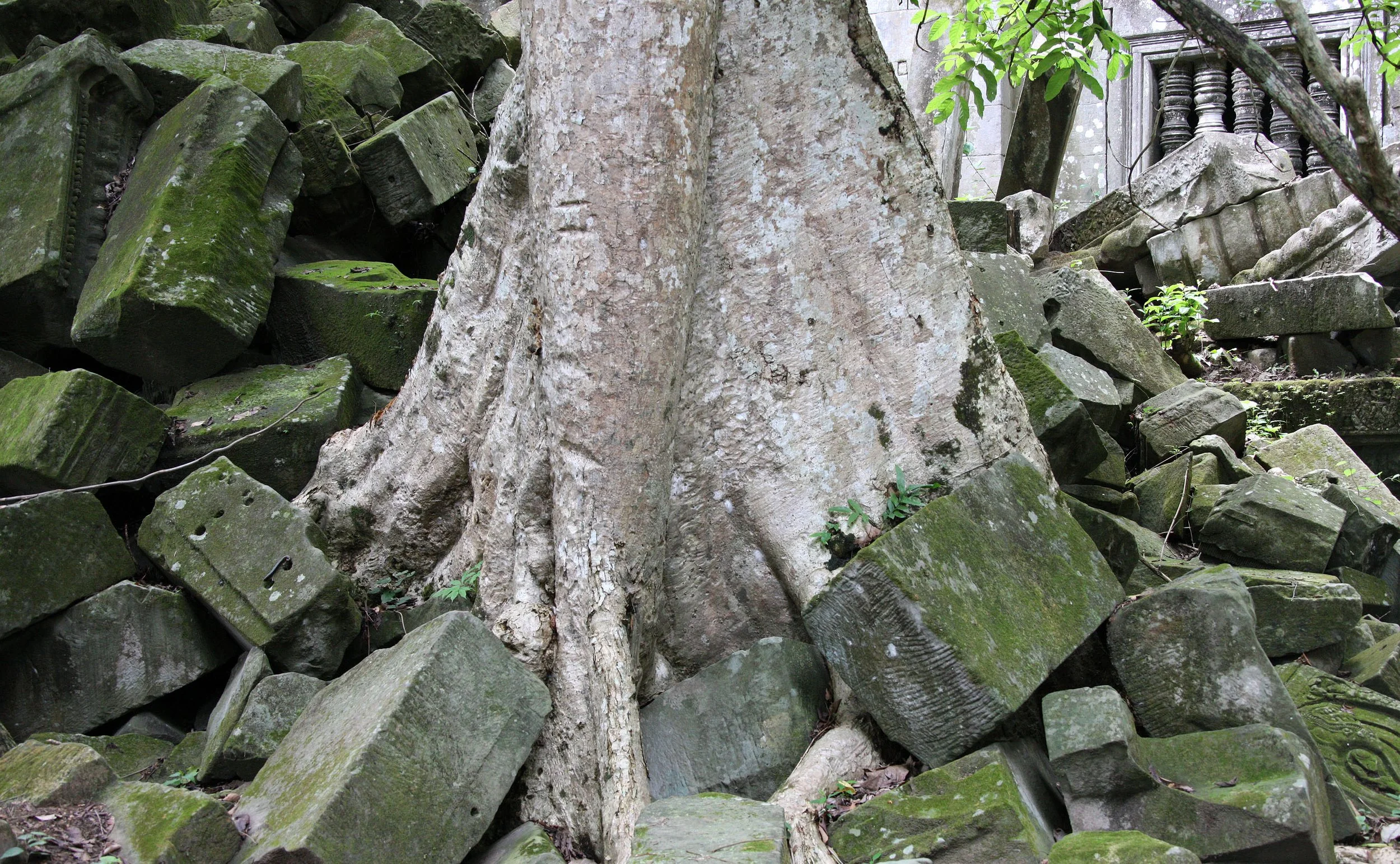 BENG MEALEA - CAMBODIA - JULY 2010 (59).JPG