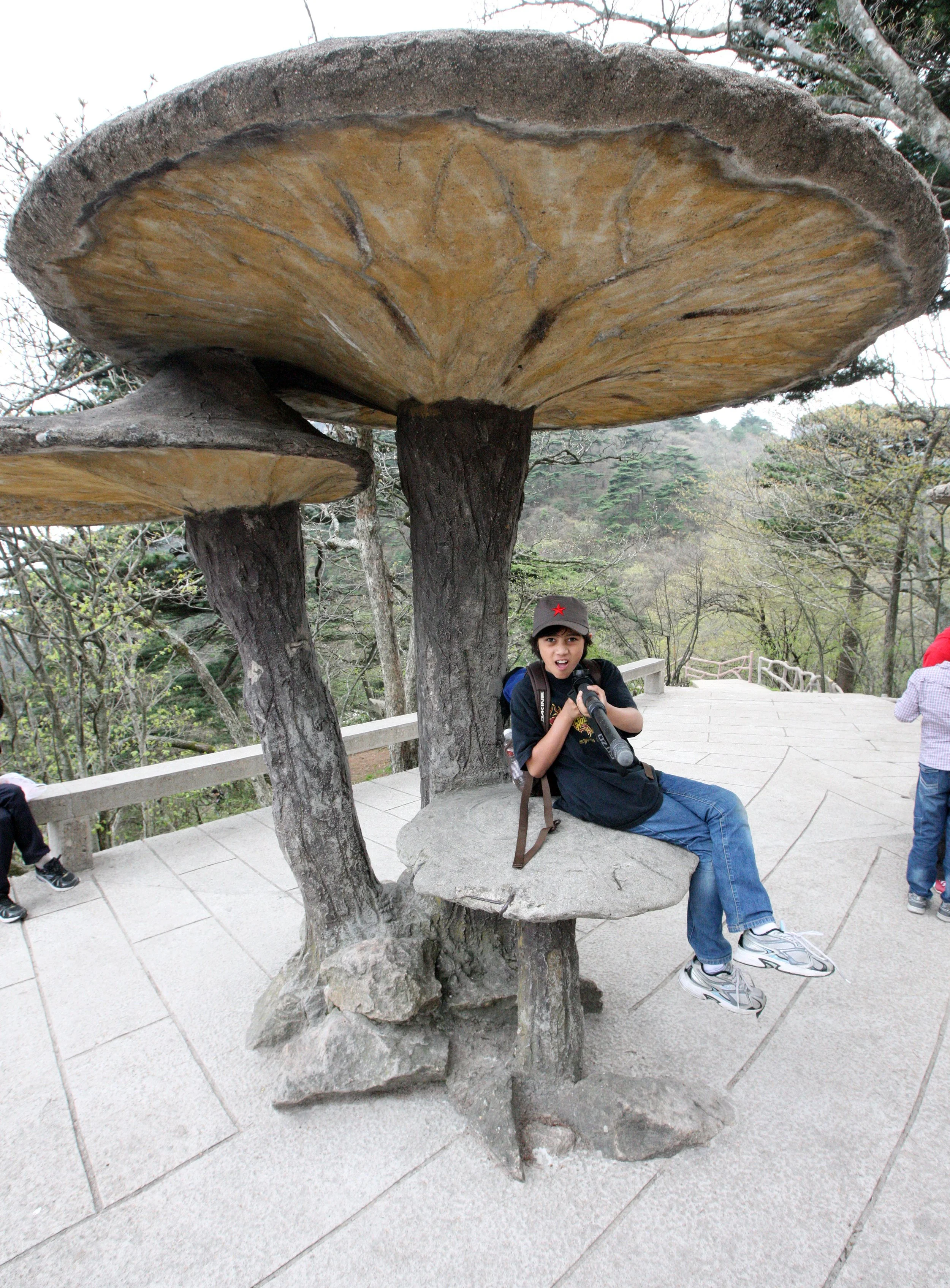 HUANGSHAN NATIONAL PARK ANHUI PROVINCE CHINA (70).JPG