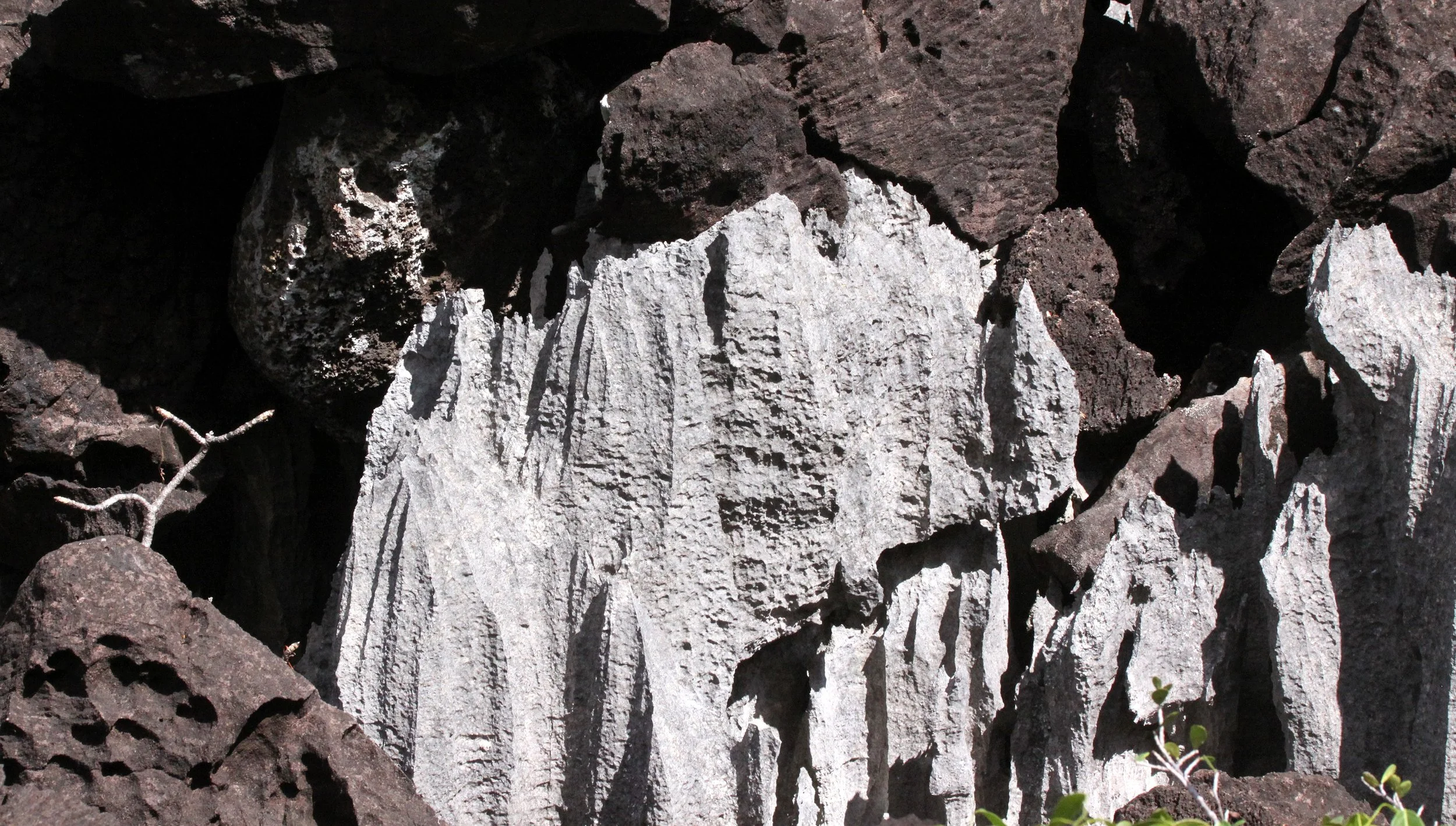 ANKARANA NATIONAL PARK MADAGASCAR - TSINGY FOREST (11).JPG