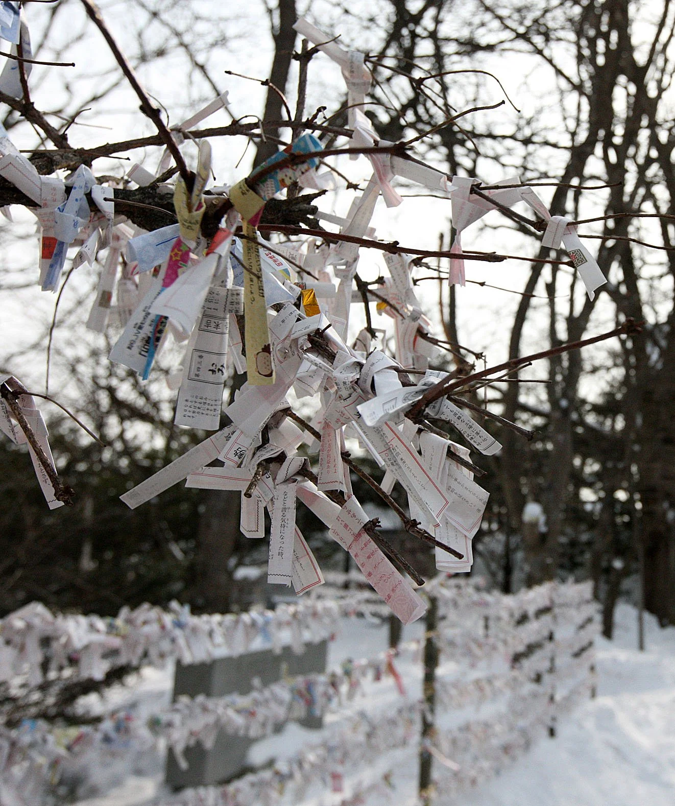 KUSHIRO HOKKAIDO JAPAN (2).JPG