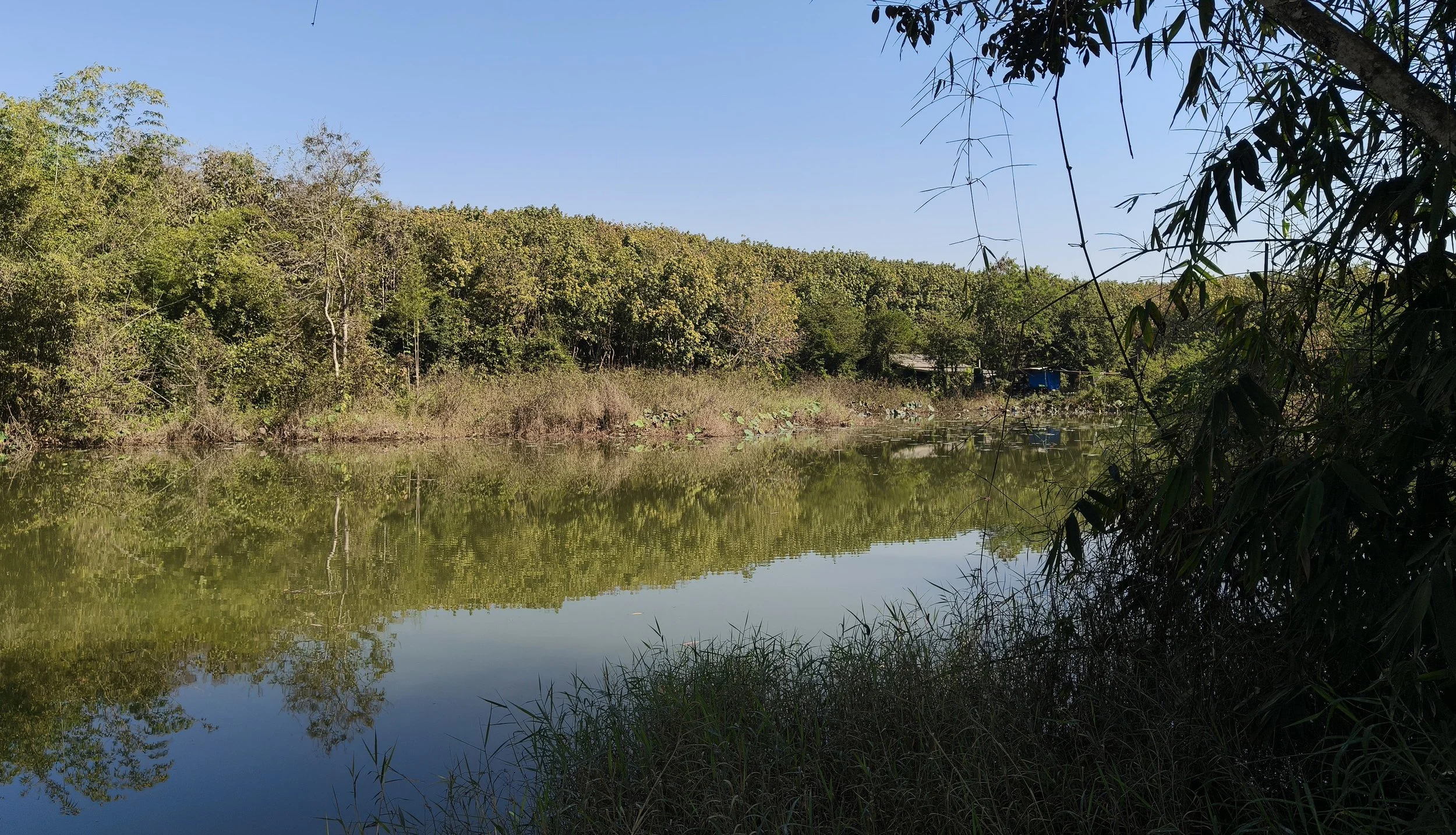 Ngao Durian Farm January 1 2026 (30).jpg