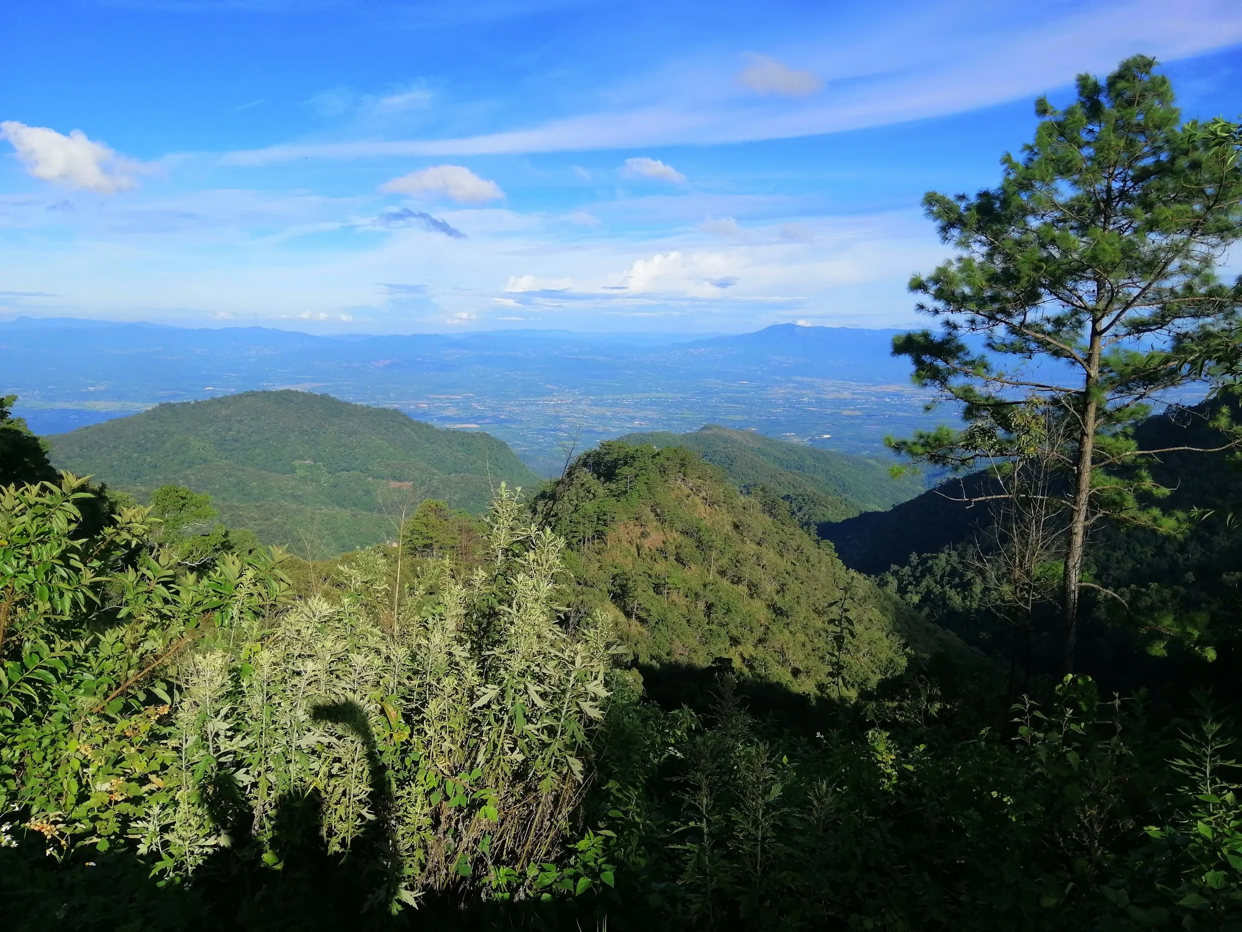 2021 Doi Ang Kang Road Trip with Gift and Liana (59).jpg