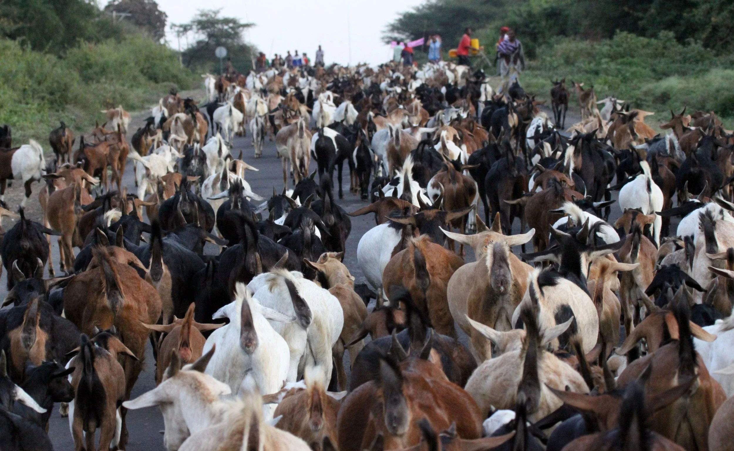 ARBAMINCH ETHIOPIA 2012 (134).JPG