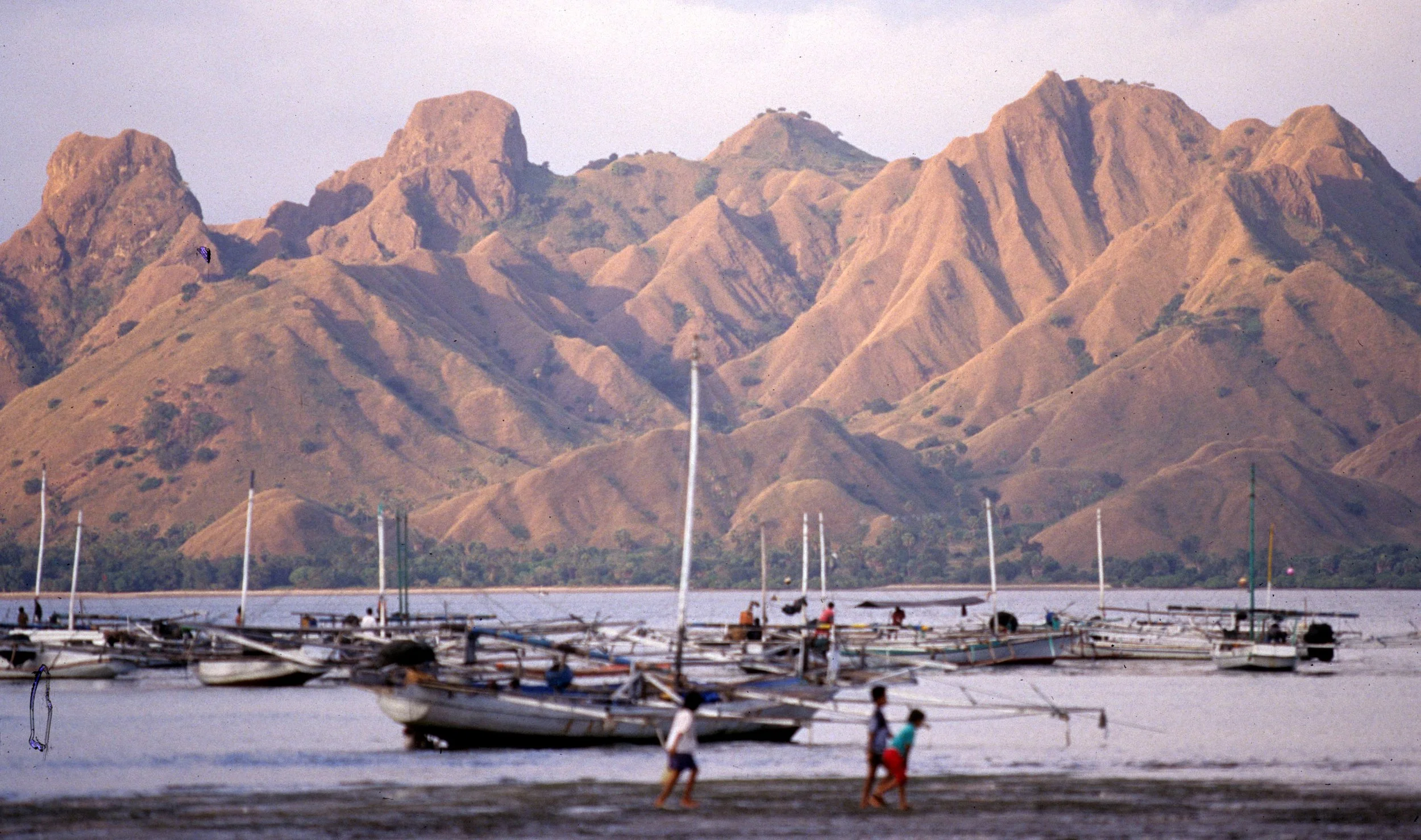 KOMODO - FISHING FLEET FROM KOMODO VILLAGE.jpg