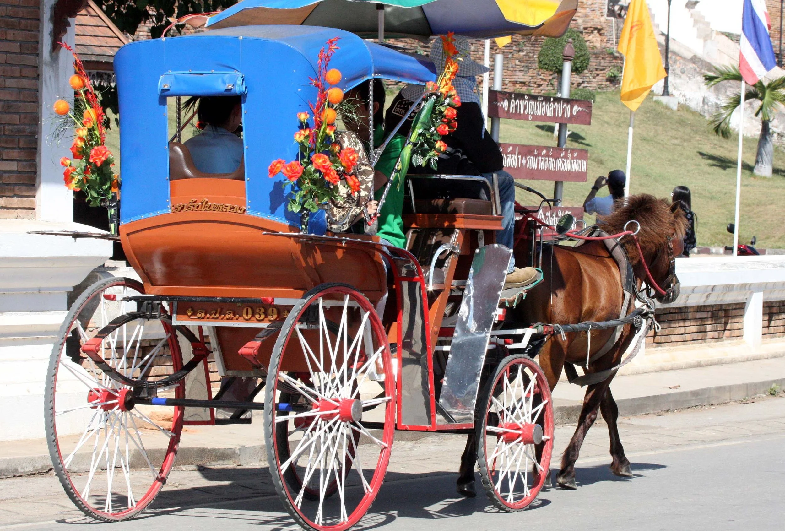 2008 Lampang City & Elephant Center (172).JPG
