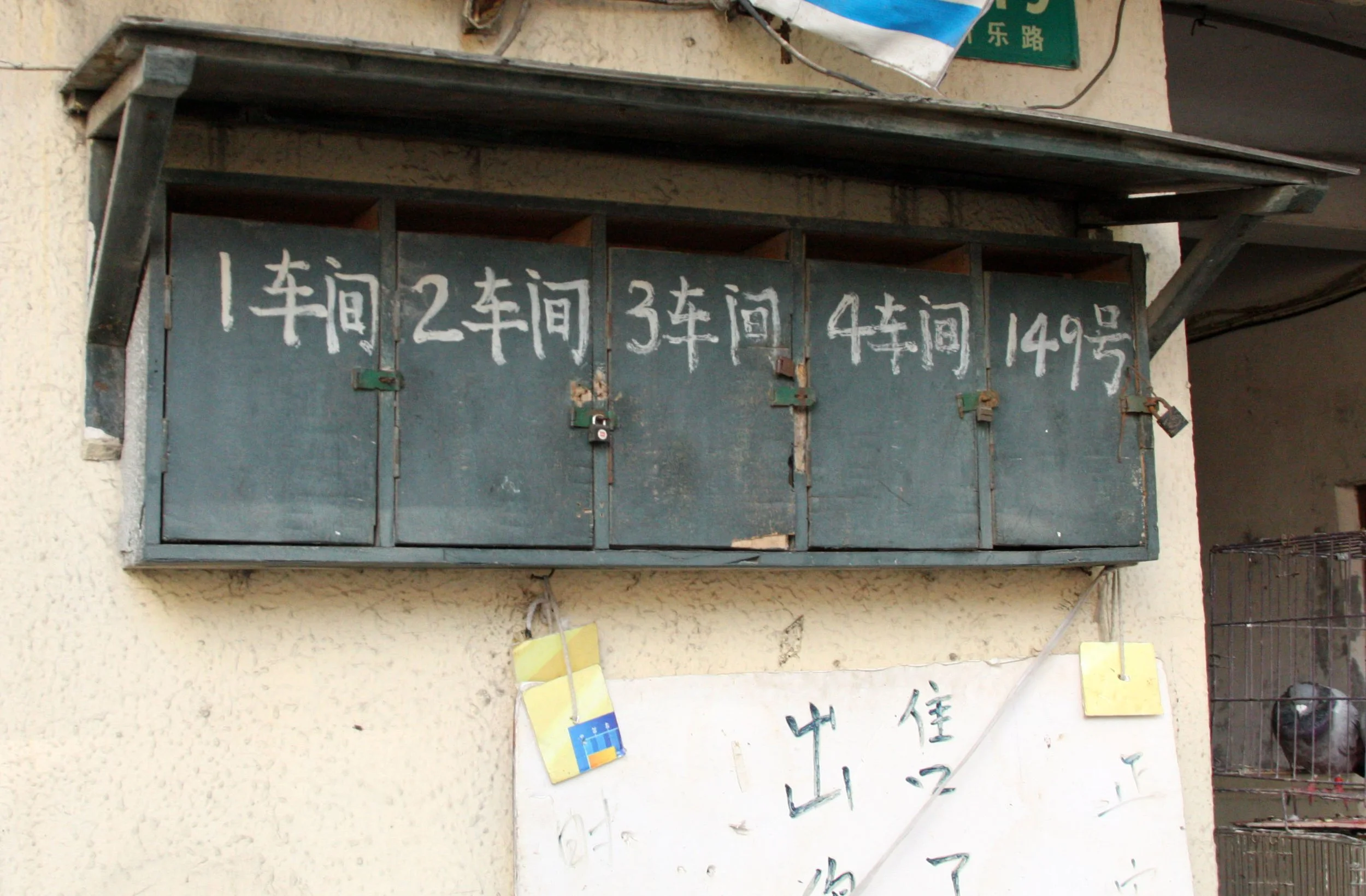 COKIES SHANGHAI PITCHERS  (2).JPG