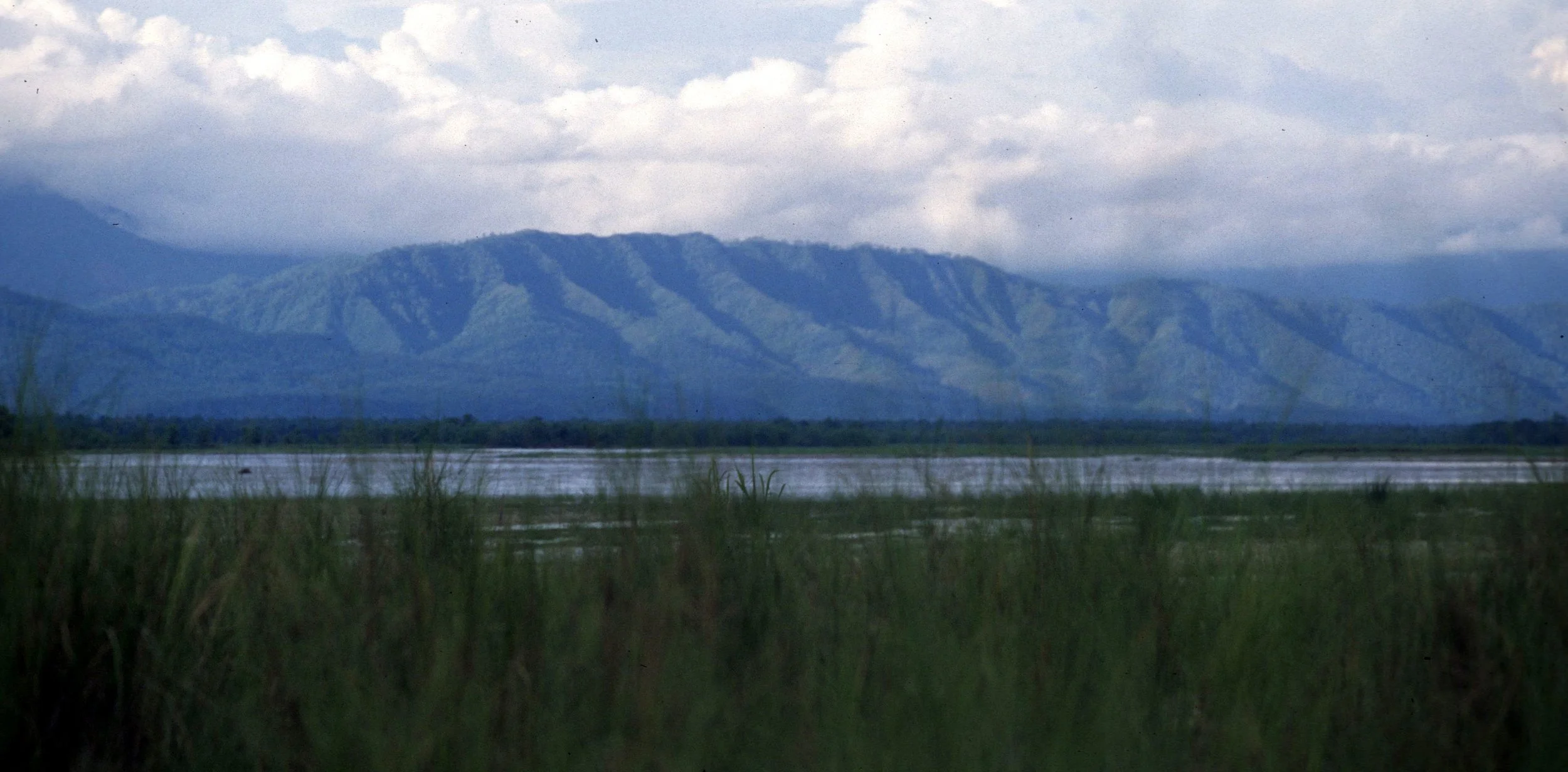 NEPAL - CHITWAN NP - VIEW OF HIMALAYAN FOOTHILLS.jpg
