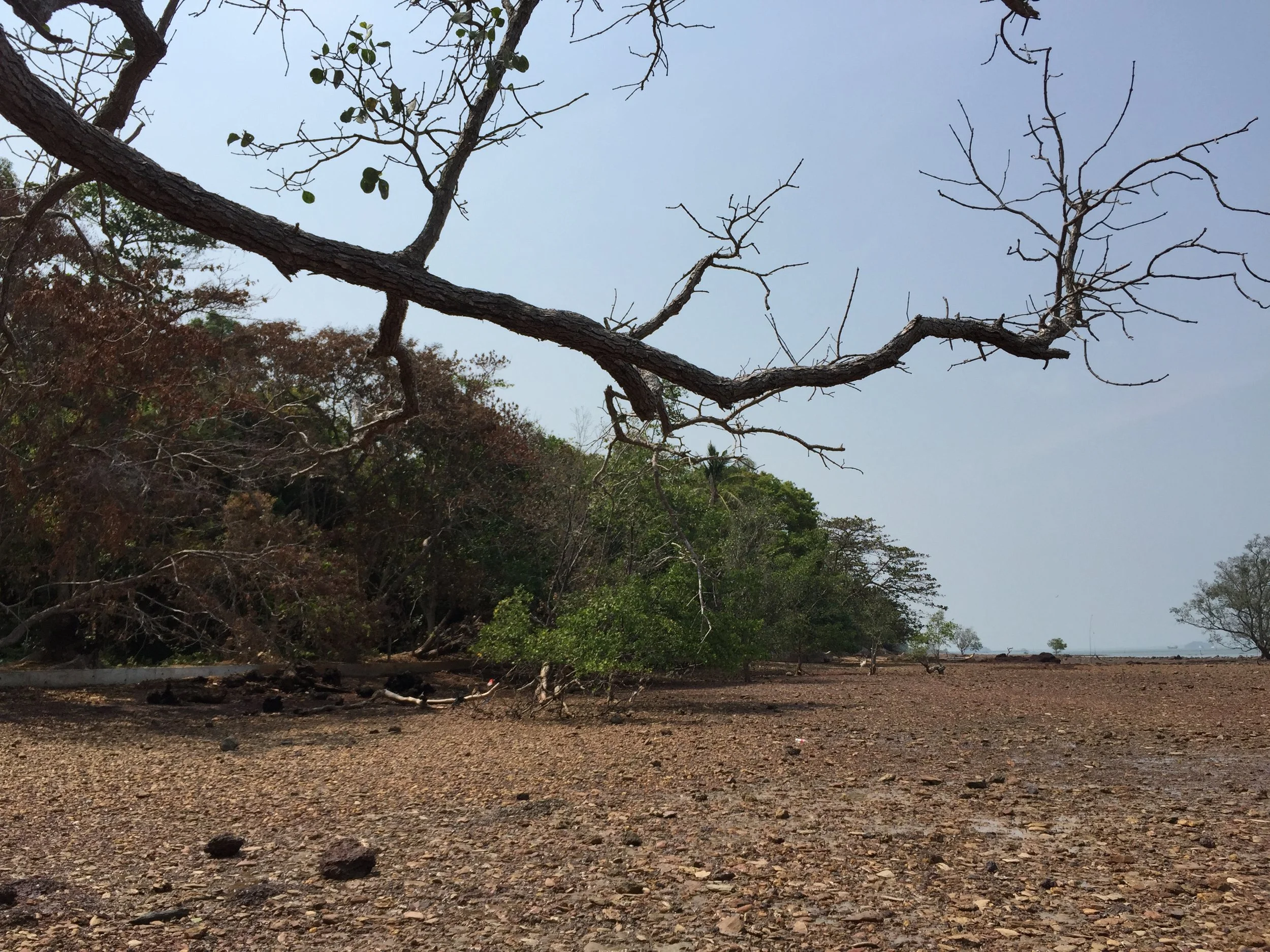 2015 Lanta Project and Scenes (63).JPG