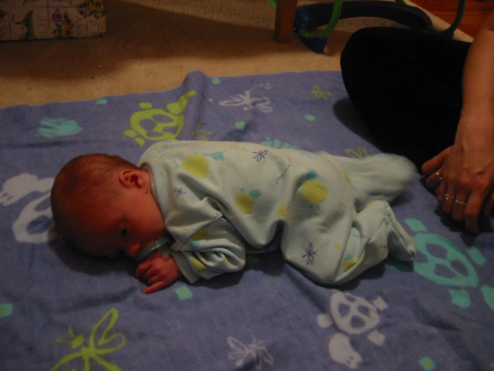 2003-4-1 SPRING TRIP TO SACRAMENTO (120).JPG