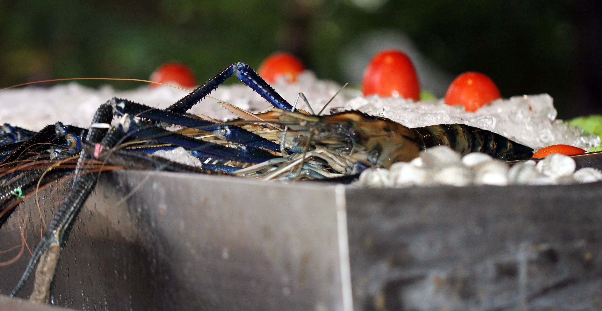 2013 River Treehouse with Friends in Nonthaburi (57).JPG