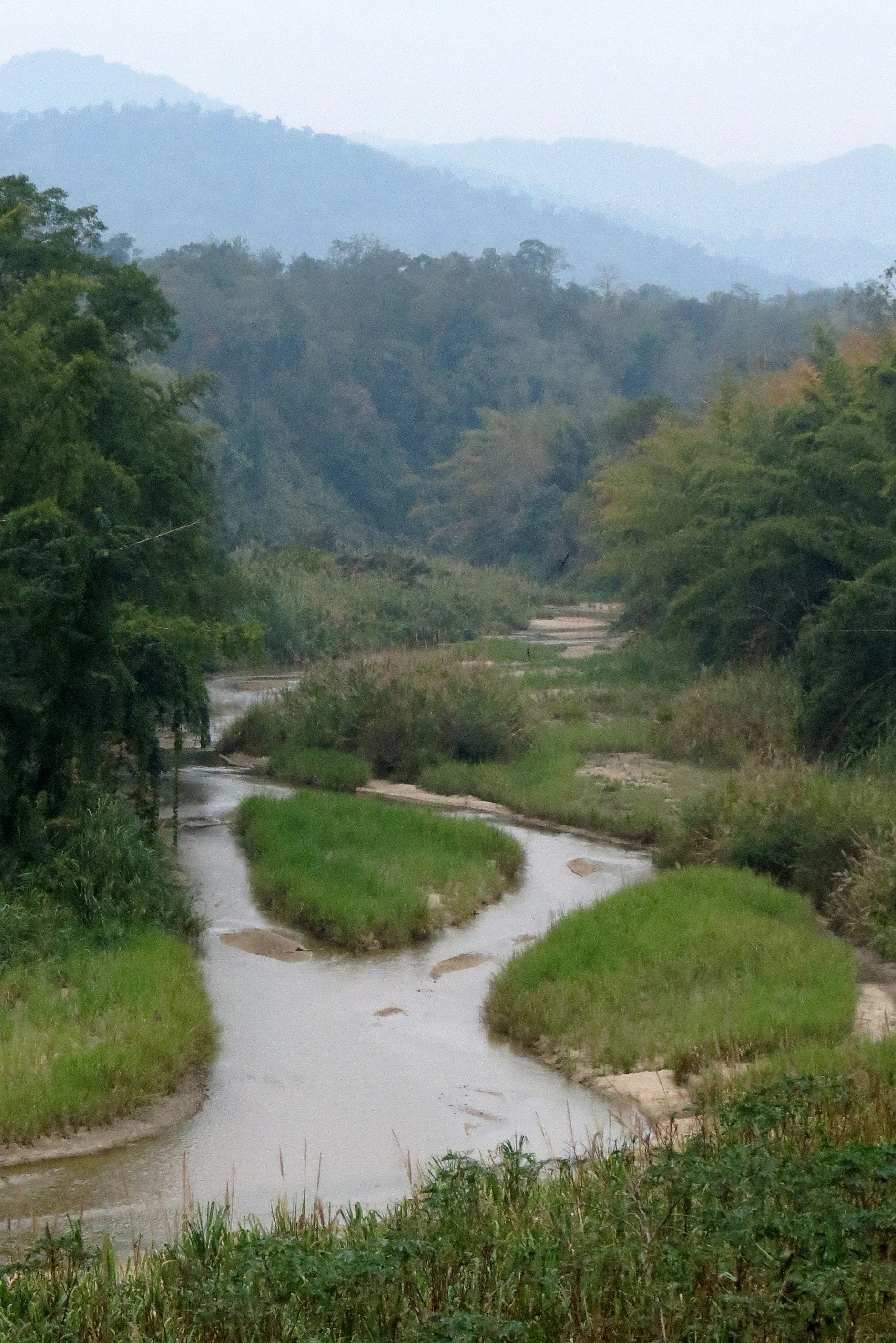 2014 Huai Kha Khaeng Bruce Kekule Trip (32).JPG