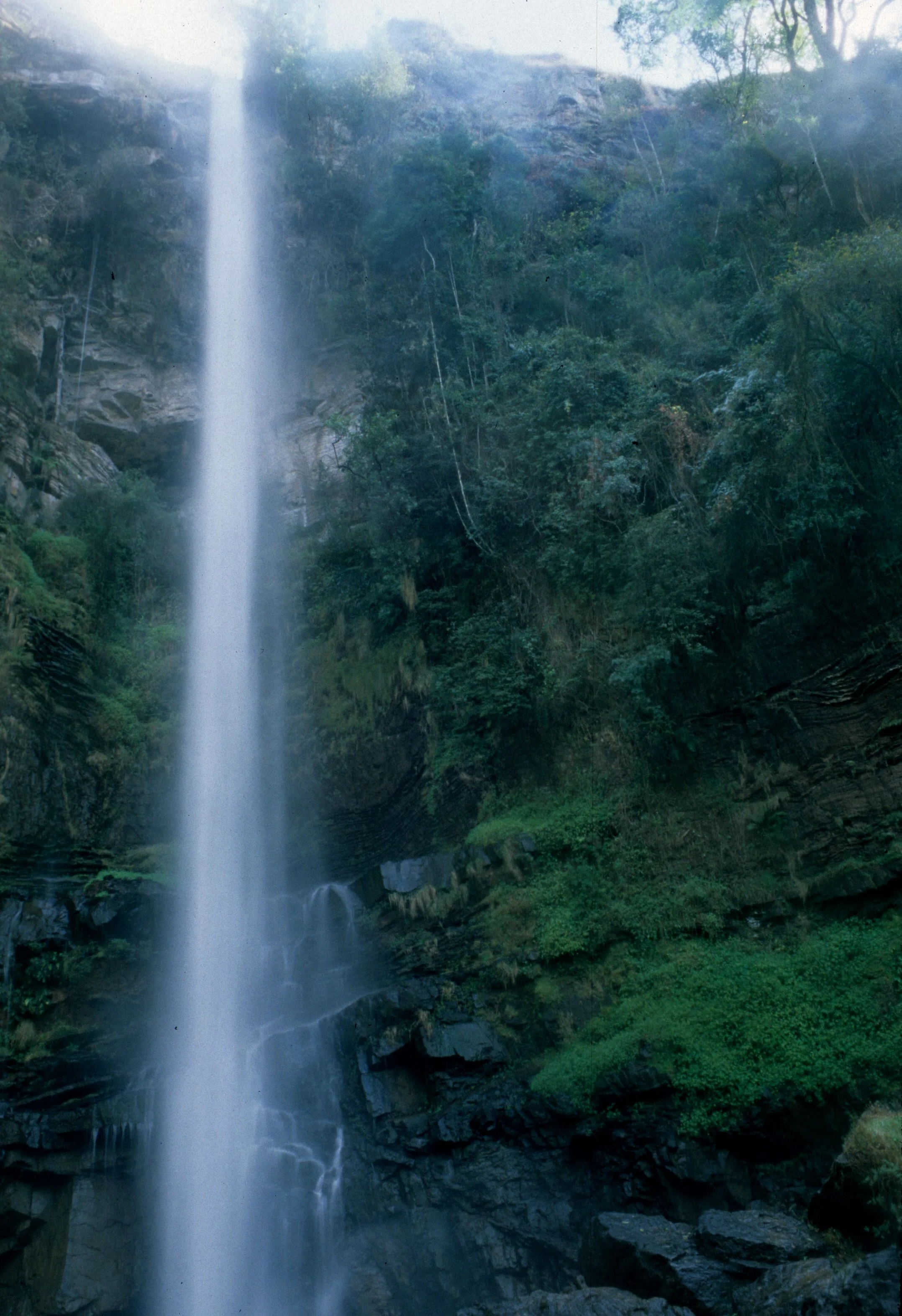 KRUGER - MAC MAC FALLS G.jpg