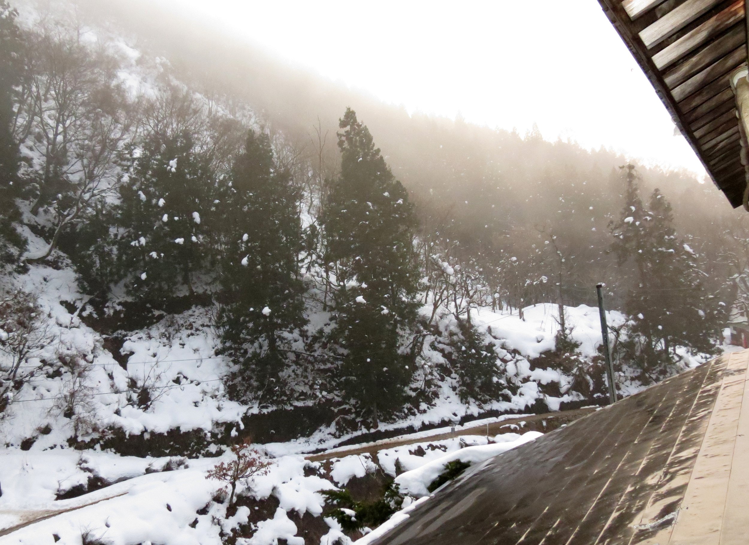 JIGOKUDANI ONSEN - KORAKUKAN RYOKAN - NAGANO PREFECTURE JAPAN (8).JPG