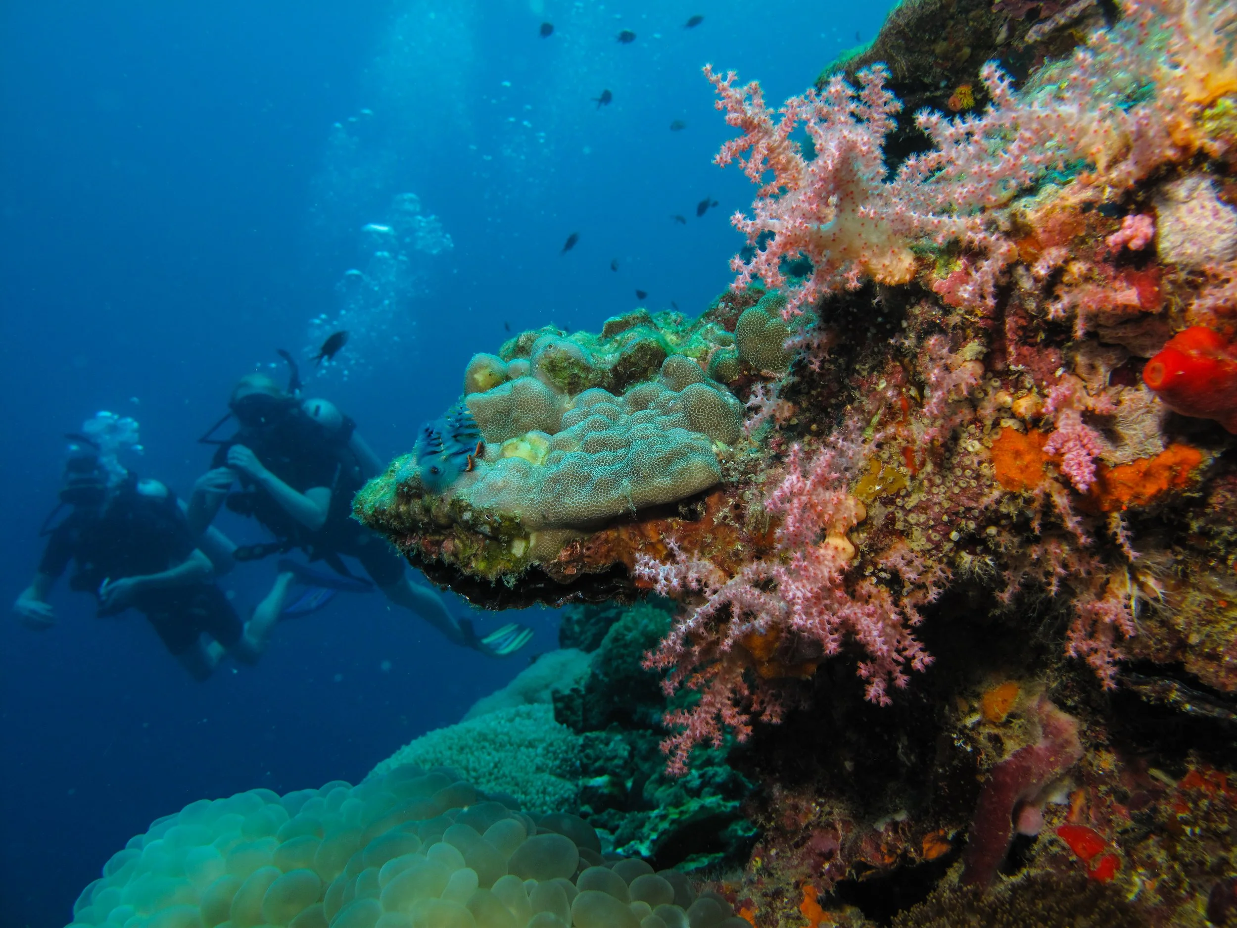 2013 Koh Lanta Dive Trip Koh Ha (122).jpg
