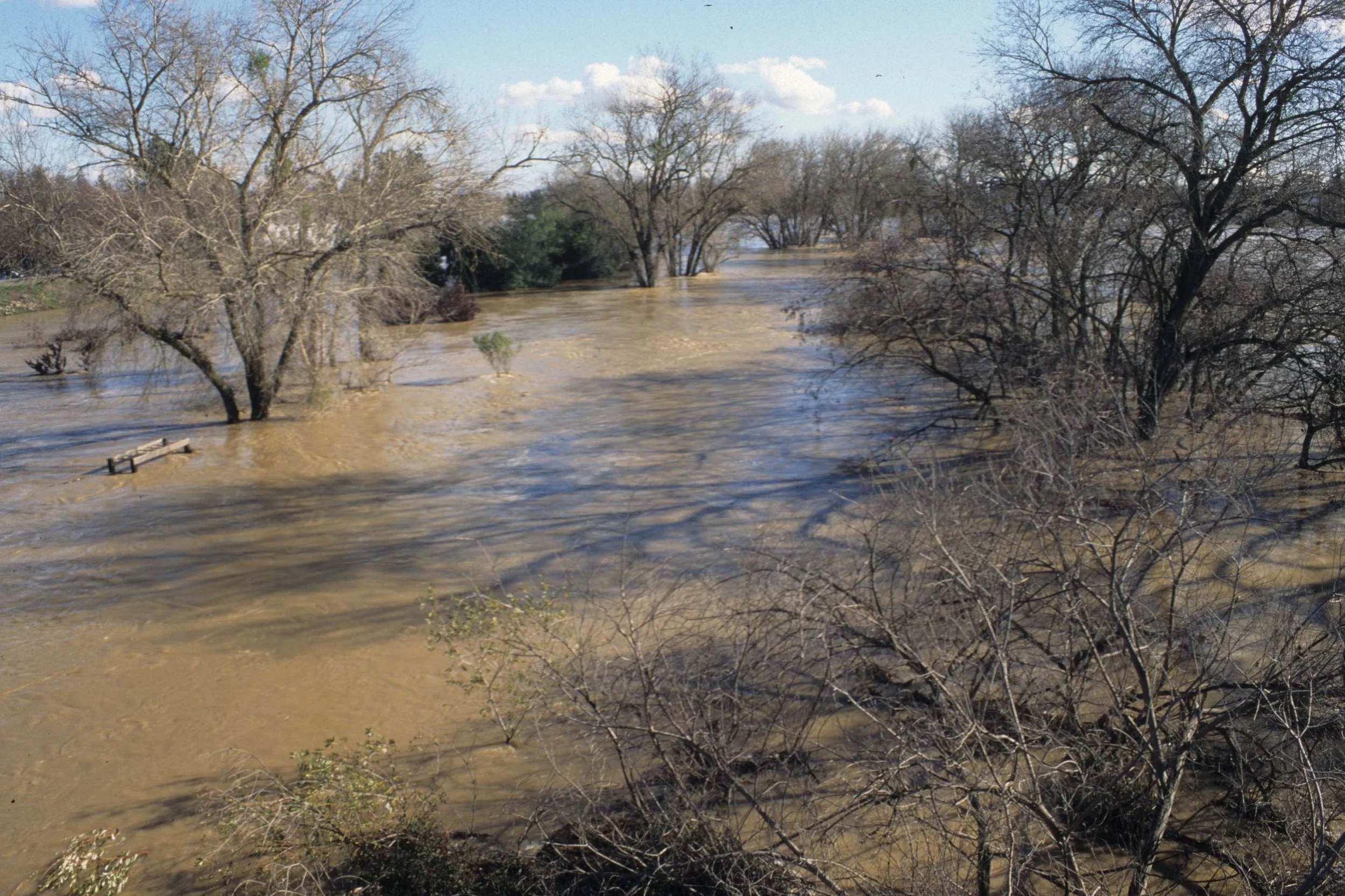 CALIFORNIA - SACRAMENTO FLOODS D.jpg