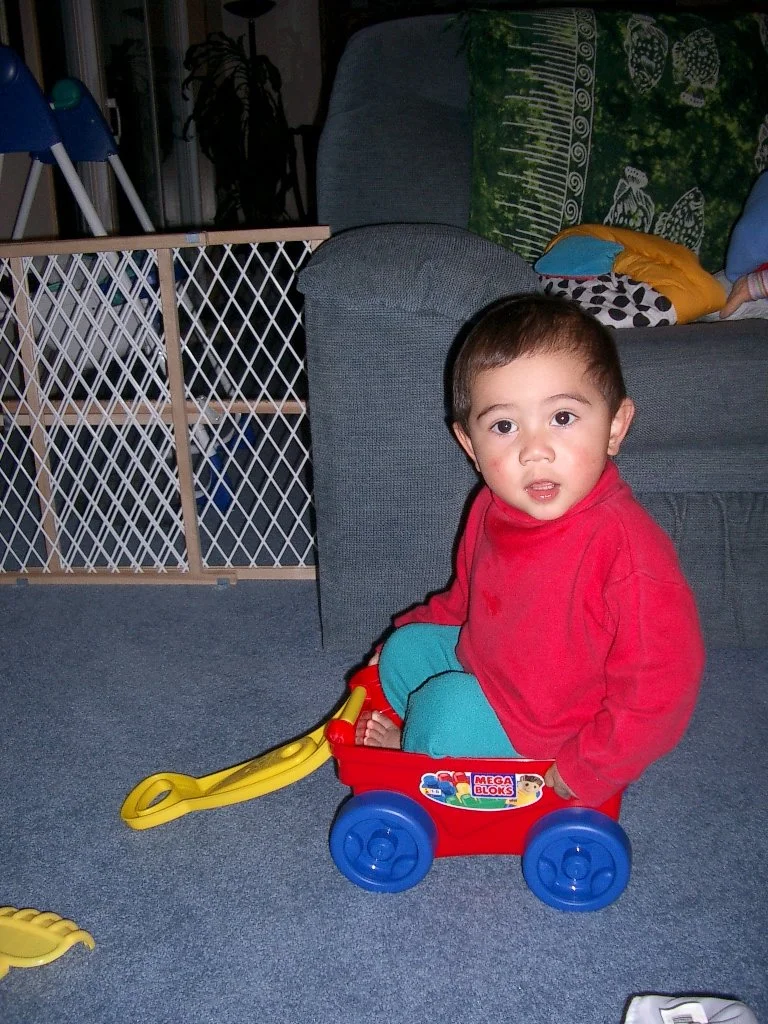 2003-11-16 COKIE PLAYING AT HOME (20).JPG