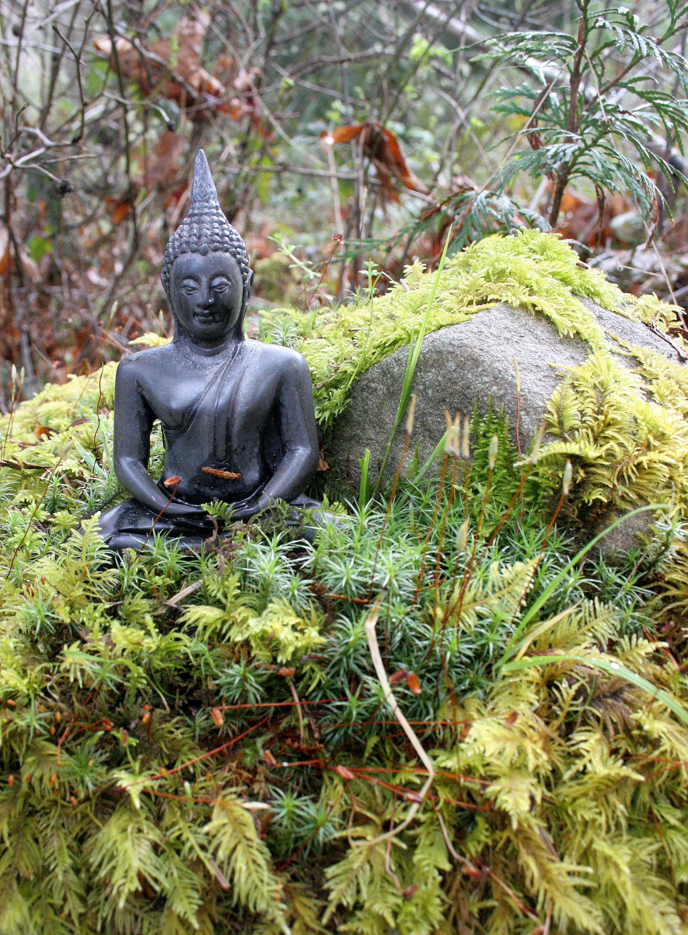 2008-4-19 LAKE FARM TRAILS WALK (28).JPG