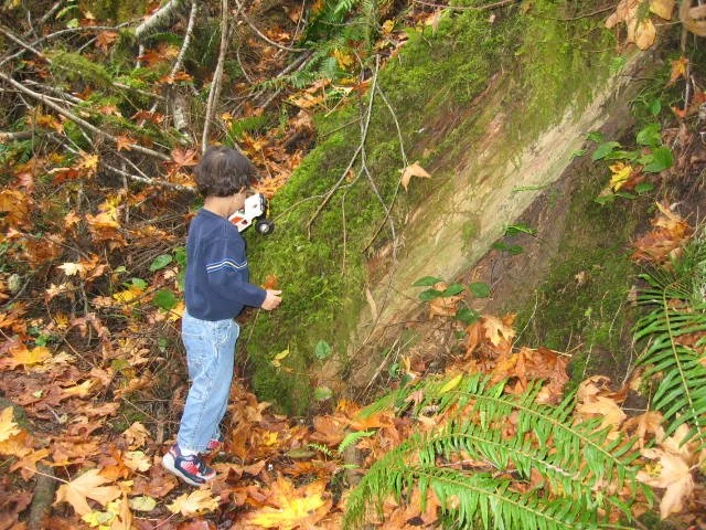 2005-10-22 WALK IN TO OLYMPIC RAINFOREST (8).JPG